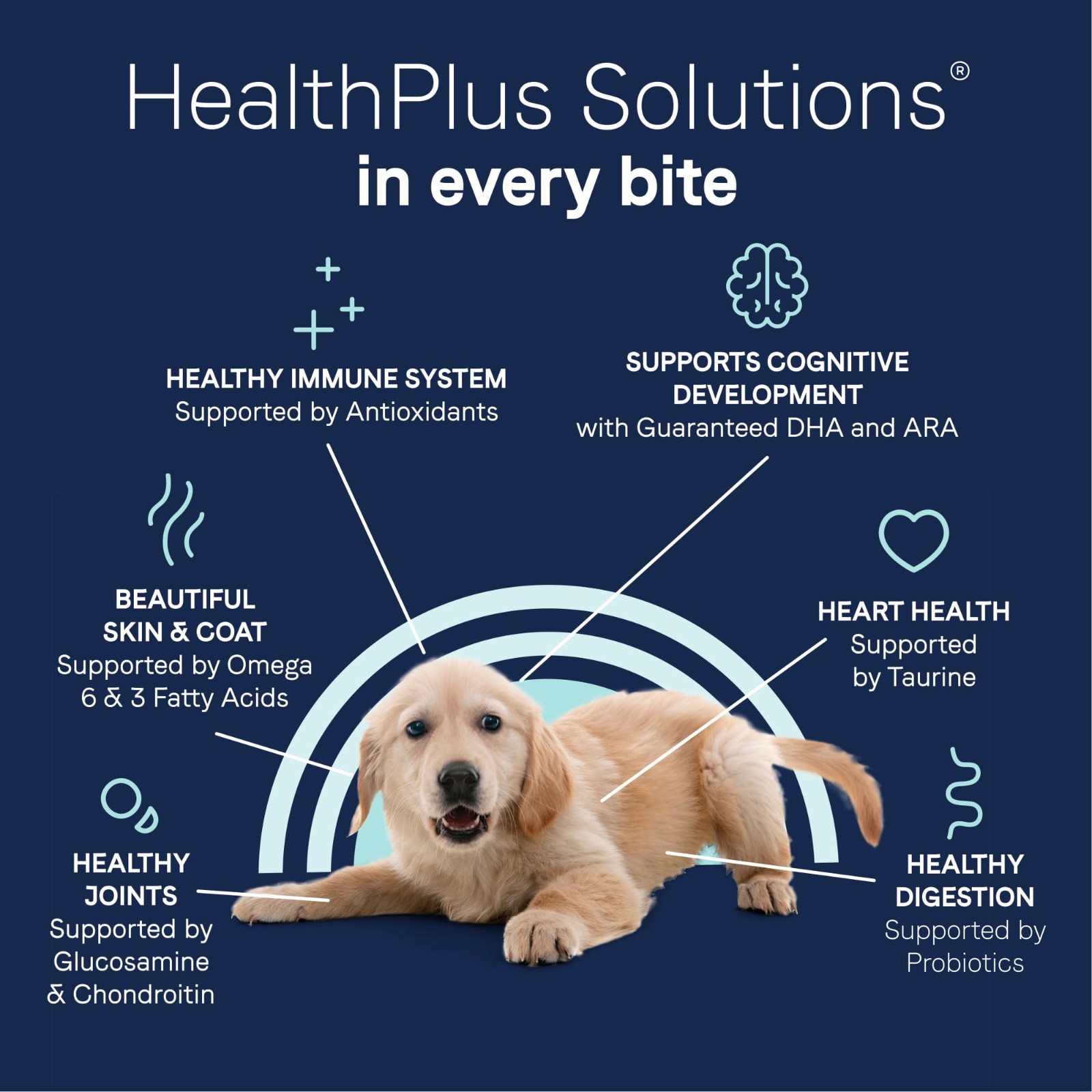 Canidae Pure Grain Free Dry Puppy Food, Real Salmon & Sweet Potato, 22 lbs.