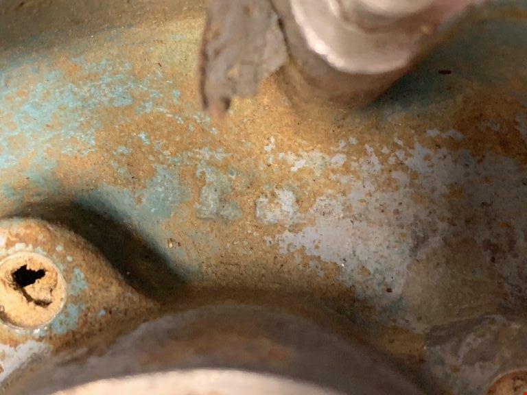 Goulds 3196 STX Rear Cover 1.5×1-6, 316SS