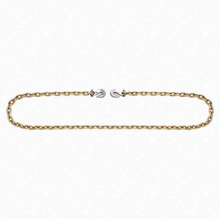 CAMPBELL 5/16 in x 25 Ft Grade 70 Binder Chain with Clevis Grab Hooks