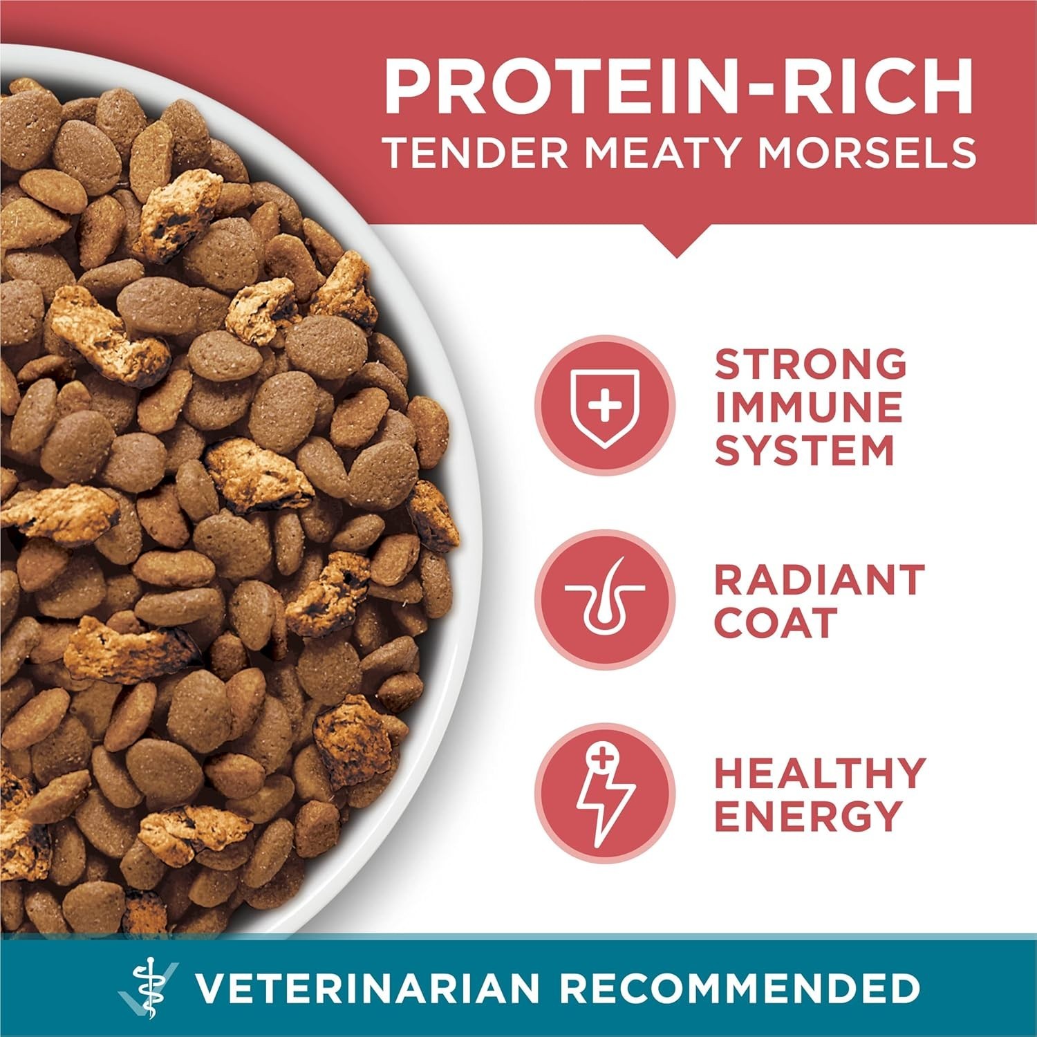 Purina ONE Tender Selects Natural Dry Cat Food – Salmon, 22 Lb