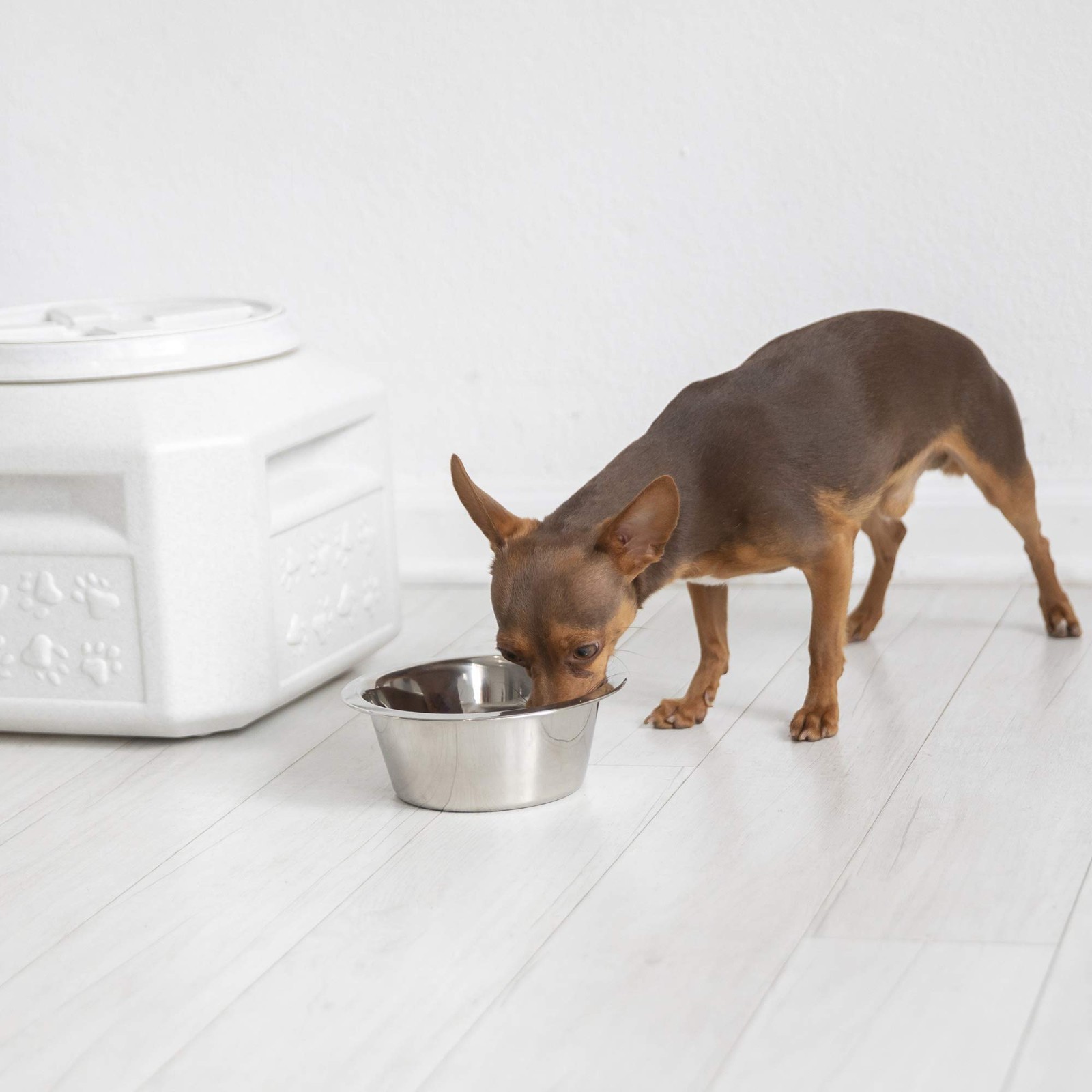 2 PACK Gamma2 Vittles Vault Dog Food Storage Container, holds up to 10-15 Pounds