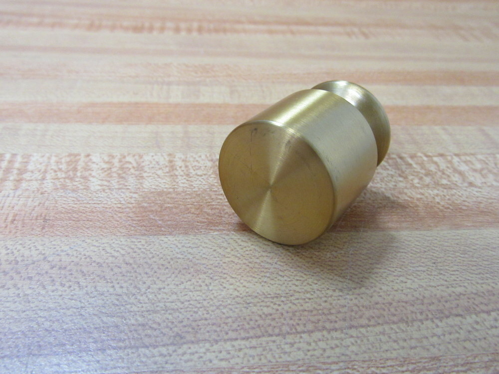Ohaus 200 9 Calibration Weight FL-153