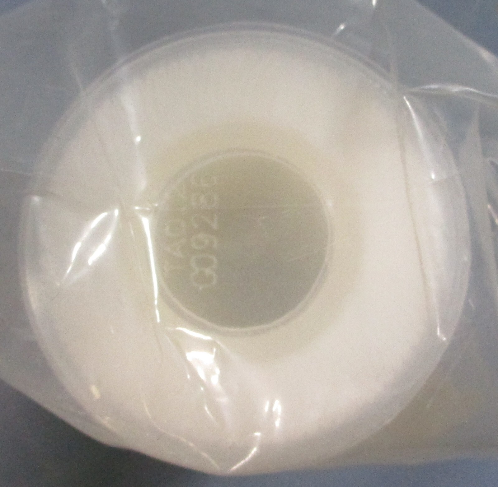 Meissner Filtration Products Inc. Ultradyne LTA0.2-5SK Filter Lot No. G09286