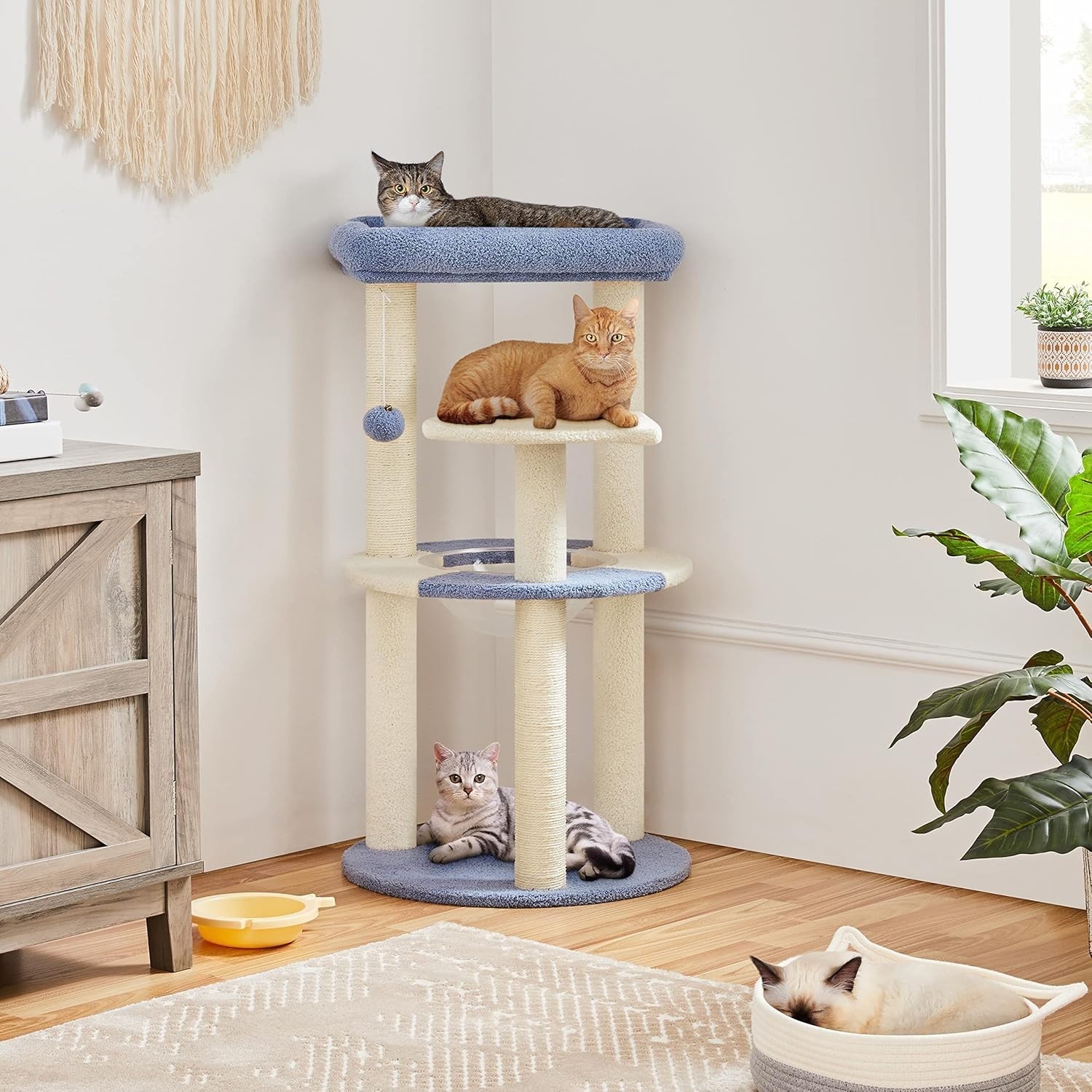 Topeakmart Small Tree for Kittens with Hanging Ball, 35.5″ H, Blue/Beige