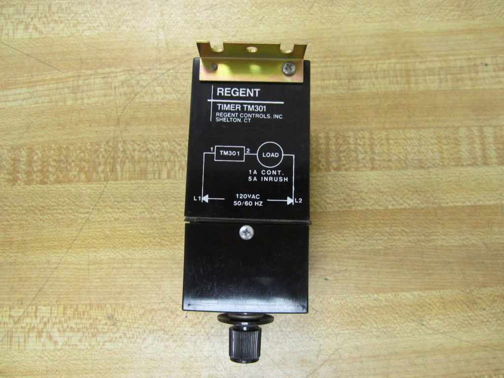 Regent Controls TM301D5S-120 Timer
