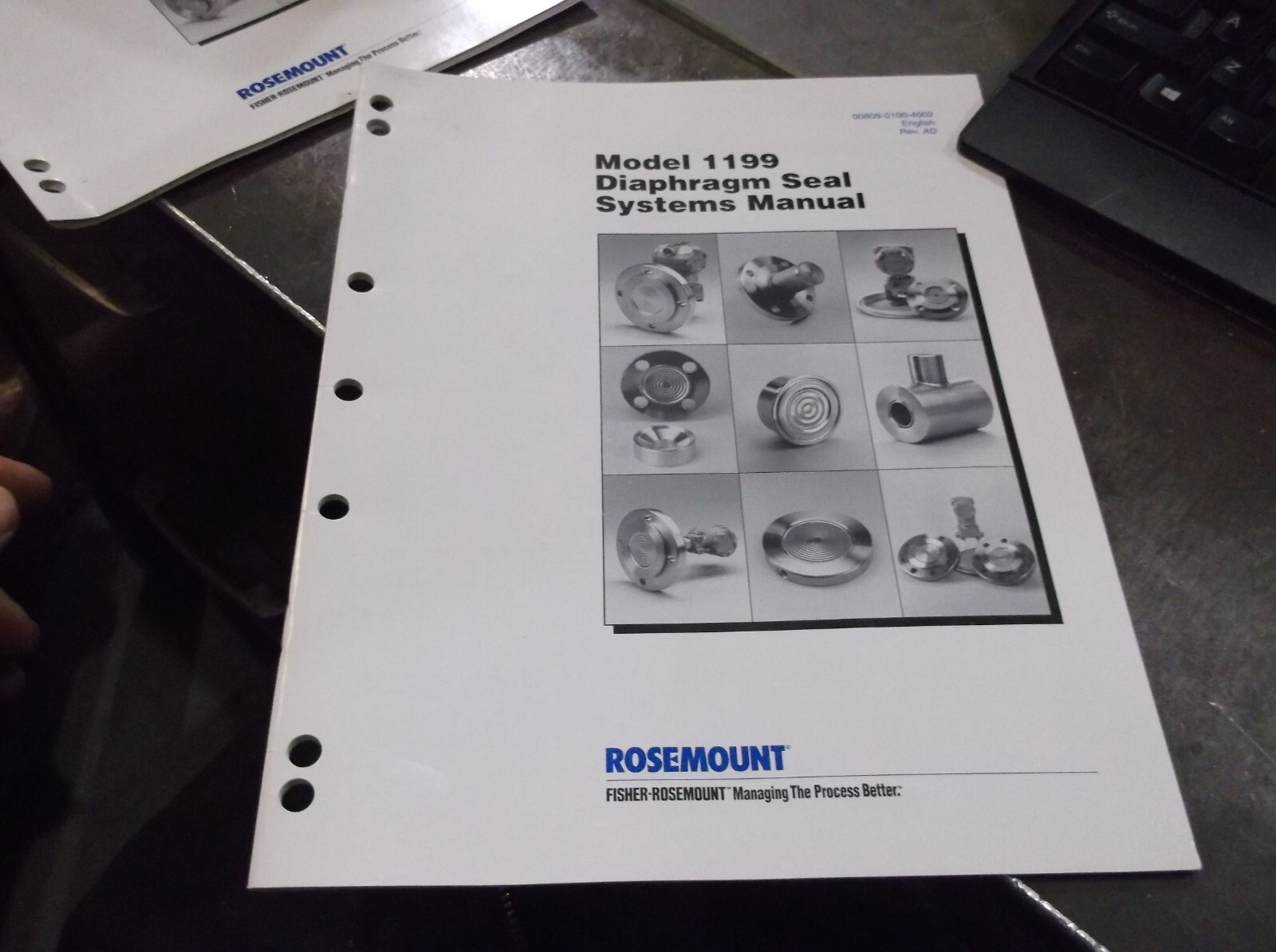 ROSEMOUNT 00809-0100-4002 REV AD MANUAL FOR 1199 DIAPHRAGM SEAL SYSTEMS (WL71)