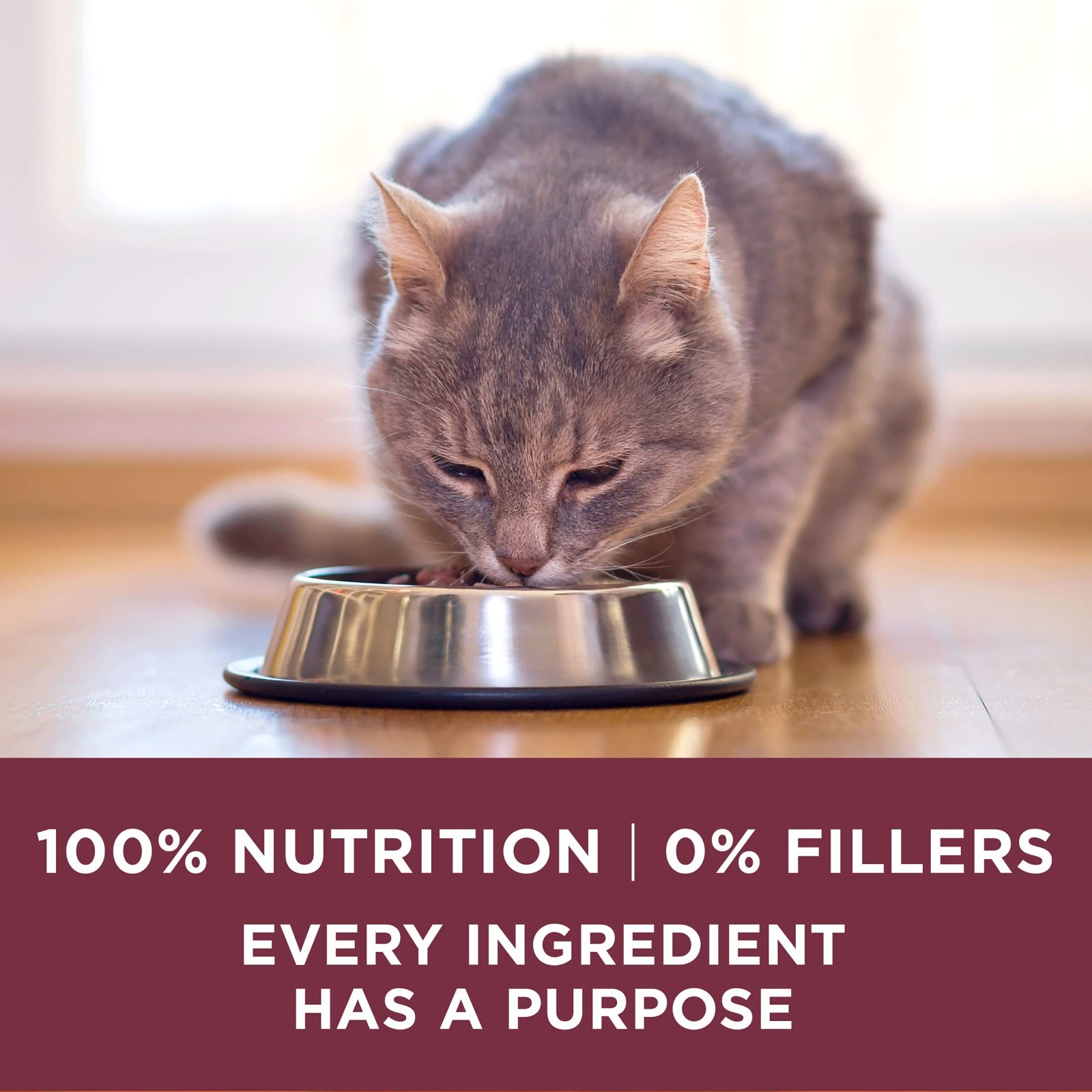 2 Pack Purina ONE +Plus Urinary Tract Health Formula Adult Dry Cat Food, 16 lb