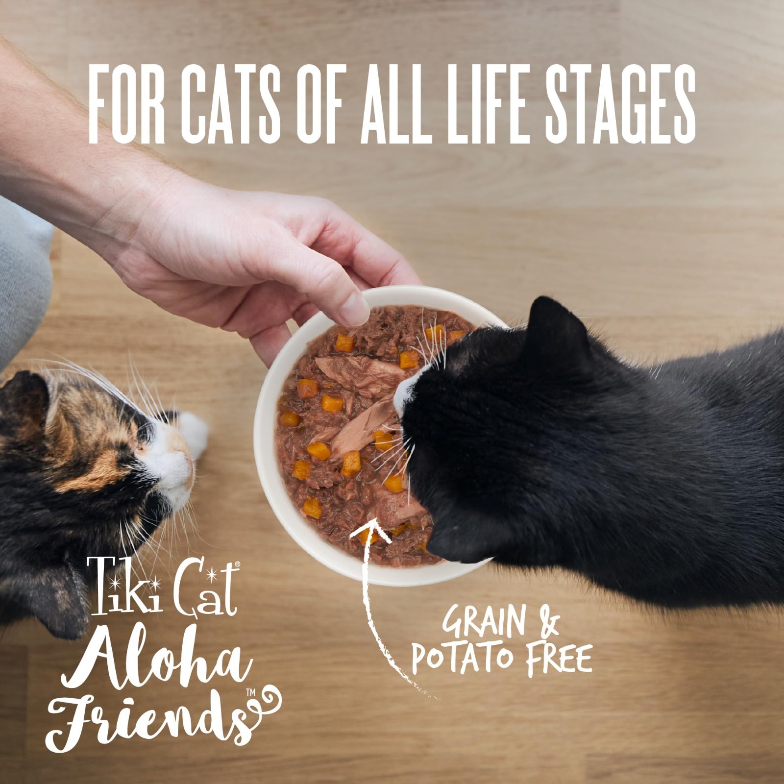 Tiki Cat Aloha Friends Wet Cat Food, Tuna Favorites, Mega Pack, 3 oz. Can (36 Ct
