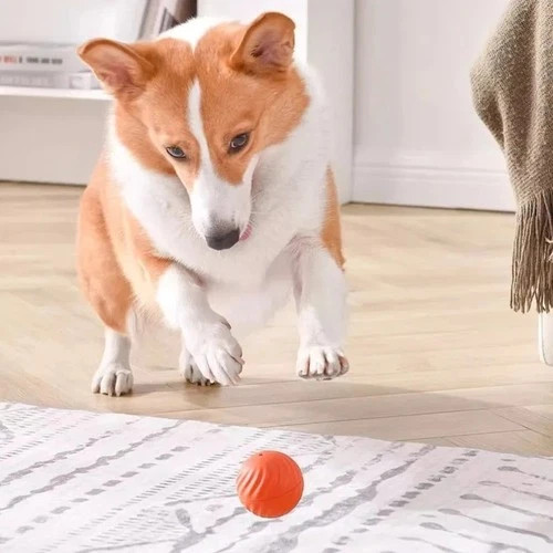 USB Rechargeable Interactive Dog Toy Ball | Automatic Moving Bouncing Pet Toy
