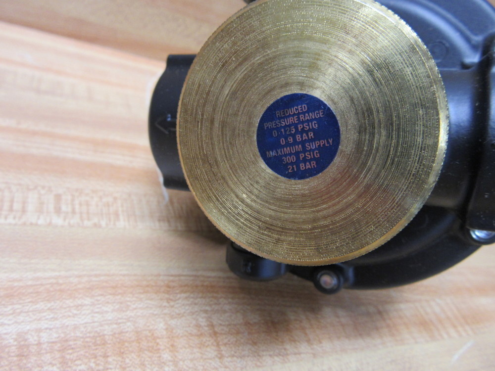 Watts R119-06CG/M2 Regulator w/Gauge R11906CGM2