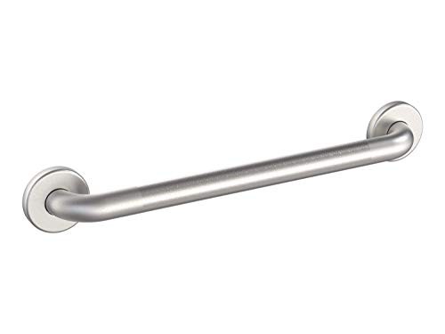 Wingits WGB5SSPE36 Stainless Steel Grab Bar