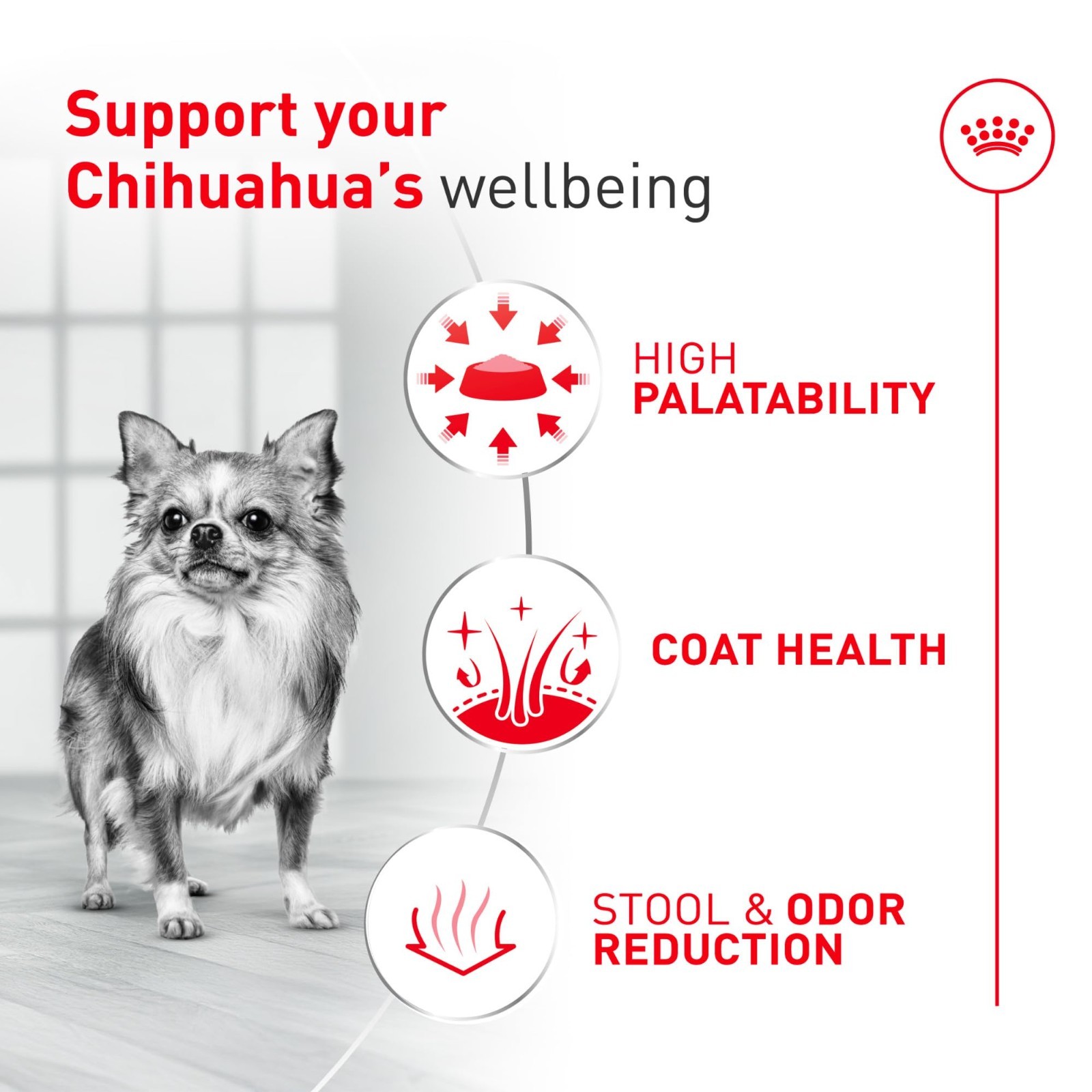 Royal Canin Chihuahua Adult Breed Specific Dry Dog Food, 10 Pounds. Bag
