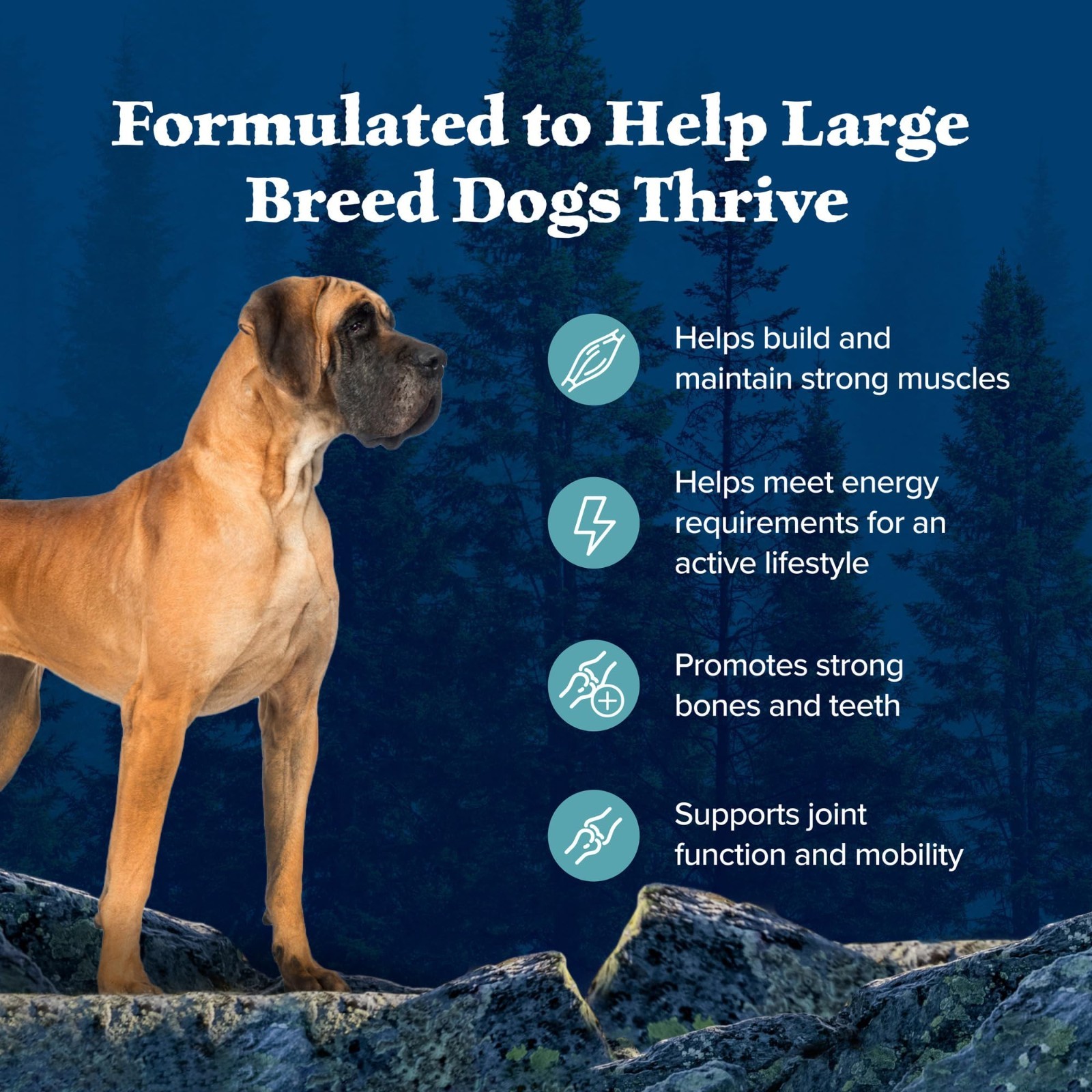 Blue Buffalo Wilderness Natural High-Protein Dry Food for Adult Dogs, 28-lb Bag.