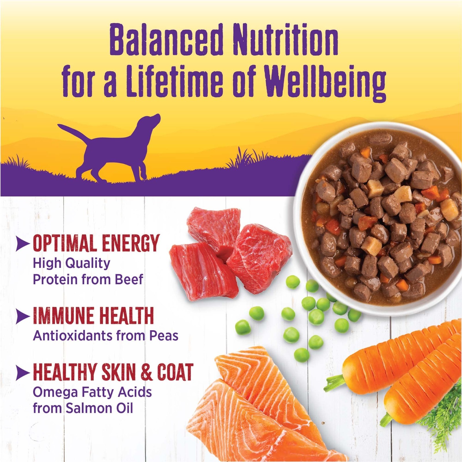 Wellness® Stews All Life Stage Wet Dog Food – Natural, Beef, 12.5 oz – 24 count