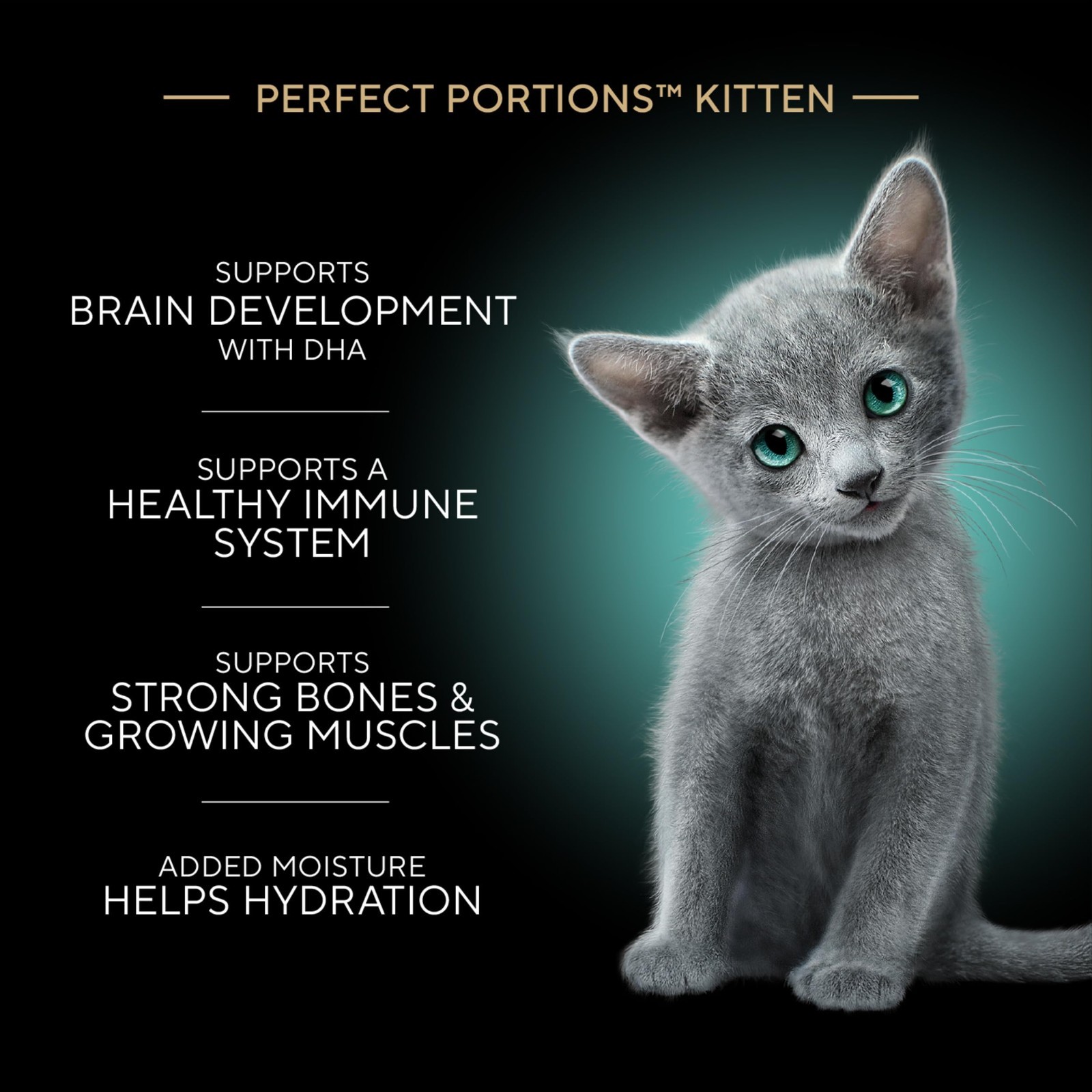 2 Packs – Sheba Kitten Wet Cat Food – Chicken, Salmon, Turkey, 24 CT
