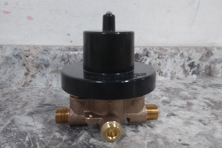 Acorn SV16 1/2 In Inlet/Outlet Connection Ligature Resistant Shower Valve