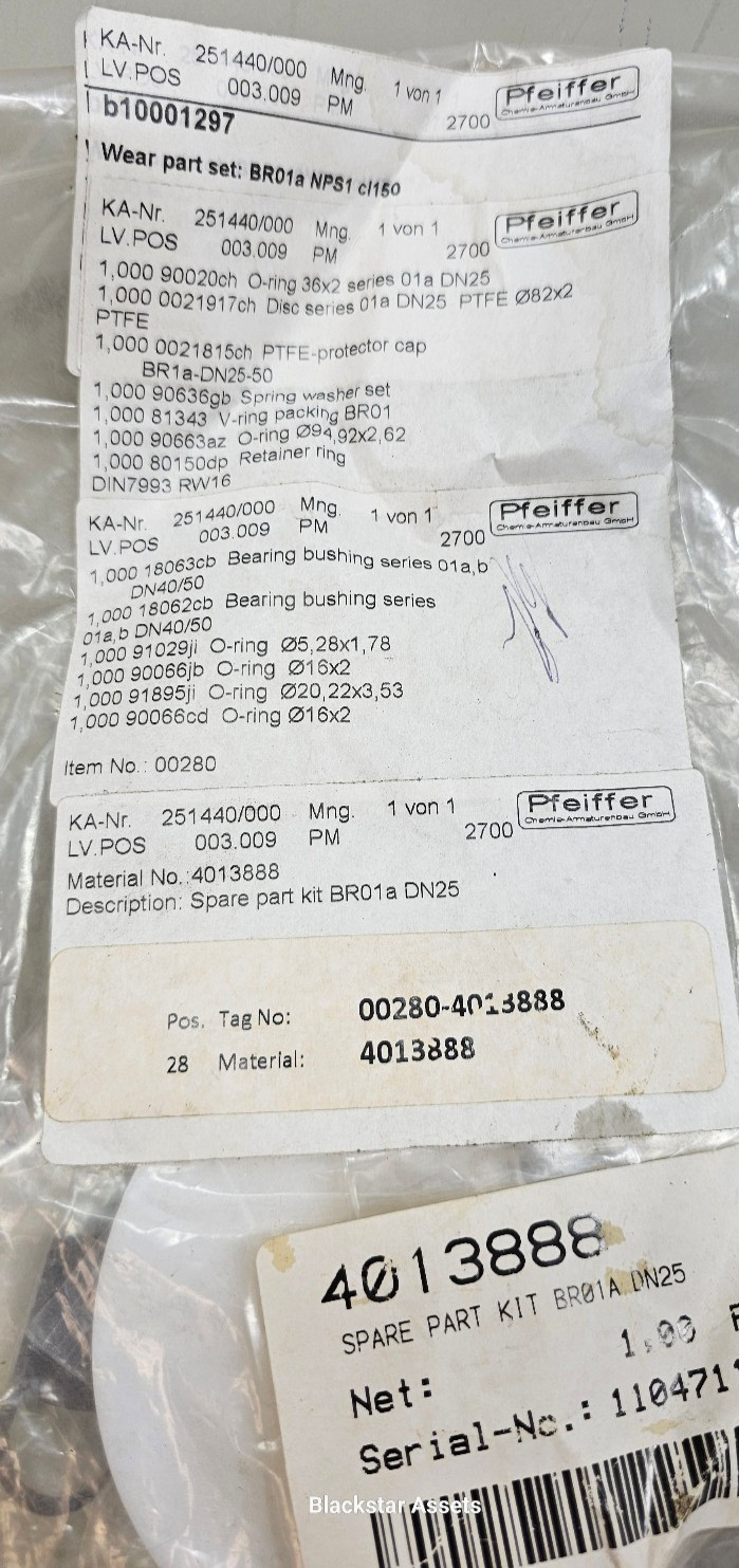Pfeiffer 251440/000 B10001297 Wear Part Set Series BR01aNPS1 cl150