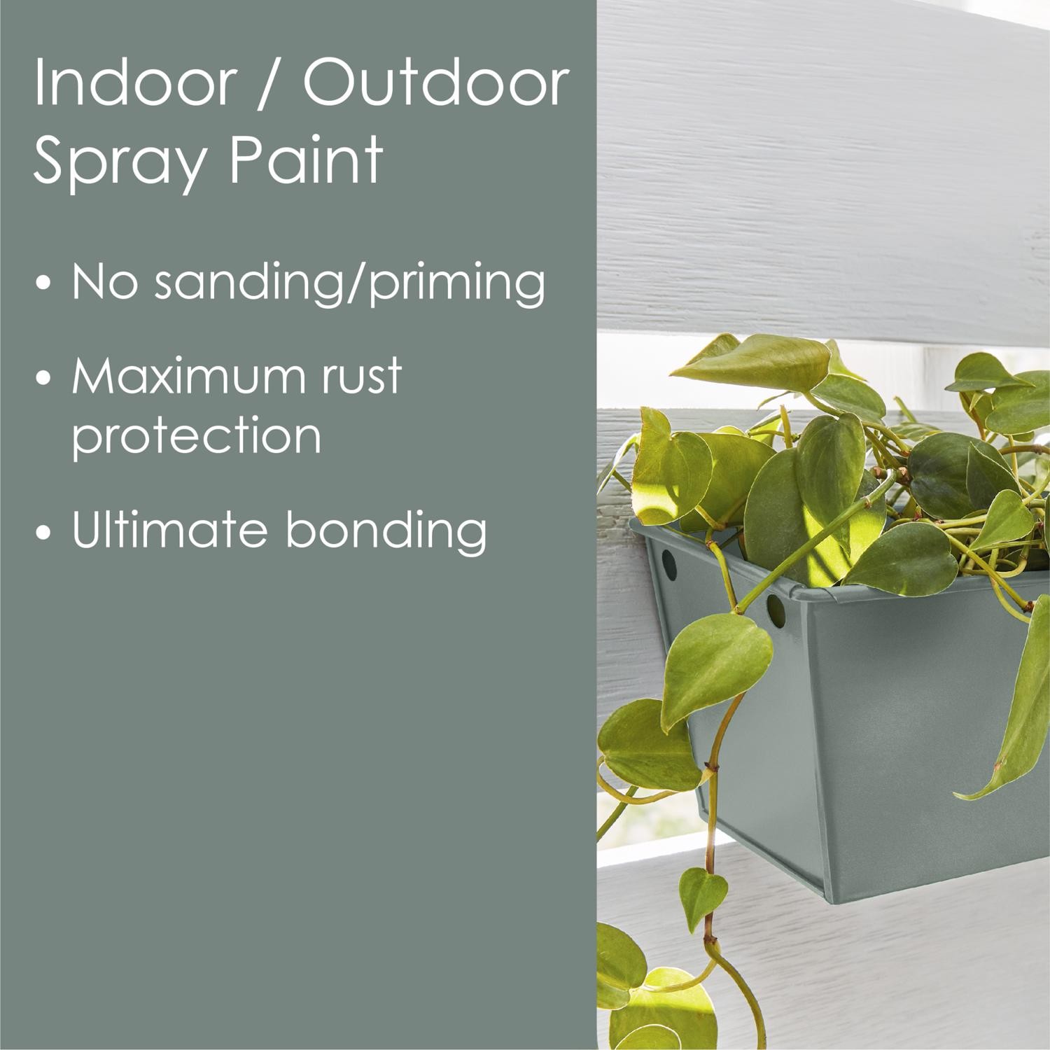 Krylon K02761007 12 Oz Pale Sage Matte Fusion All-In-One Spray Paint(Pack of 6)