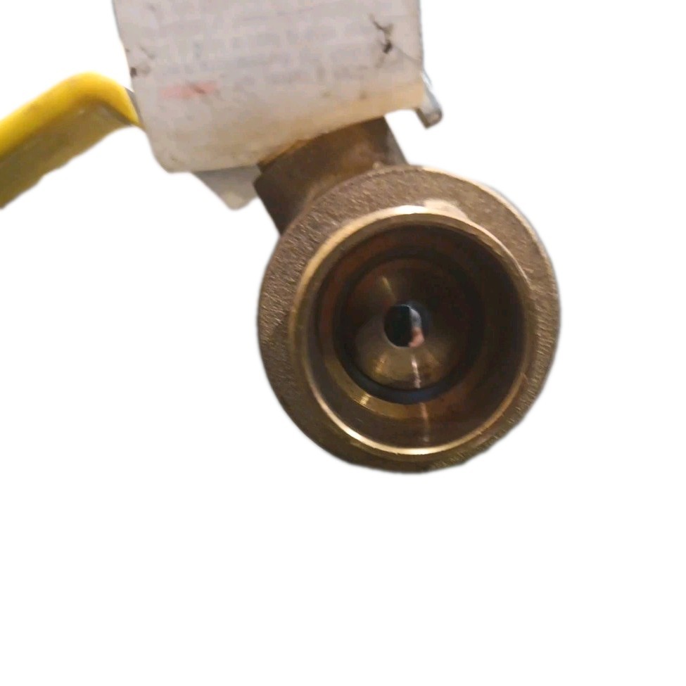FNW FIG. 411A NSNP