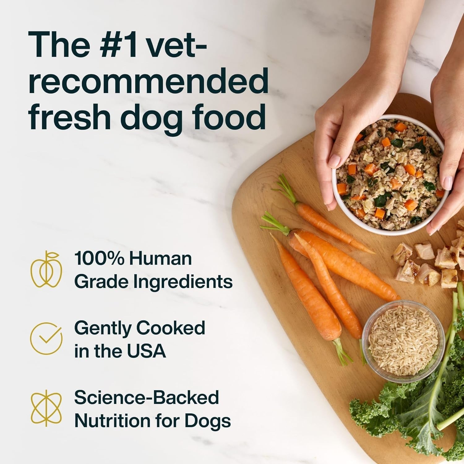 JustFoodForDogs JustFresh All Life Stages Fresh Dog Food – Chicken, 12 oz -7Pack