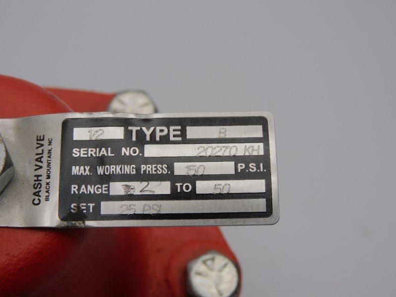 CASH VALVE TYPE B 25PSI 1/2″ NSNP