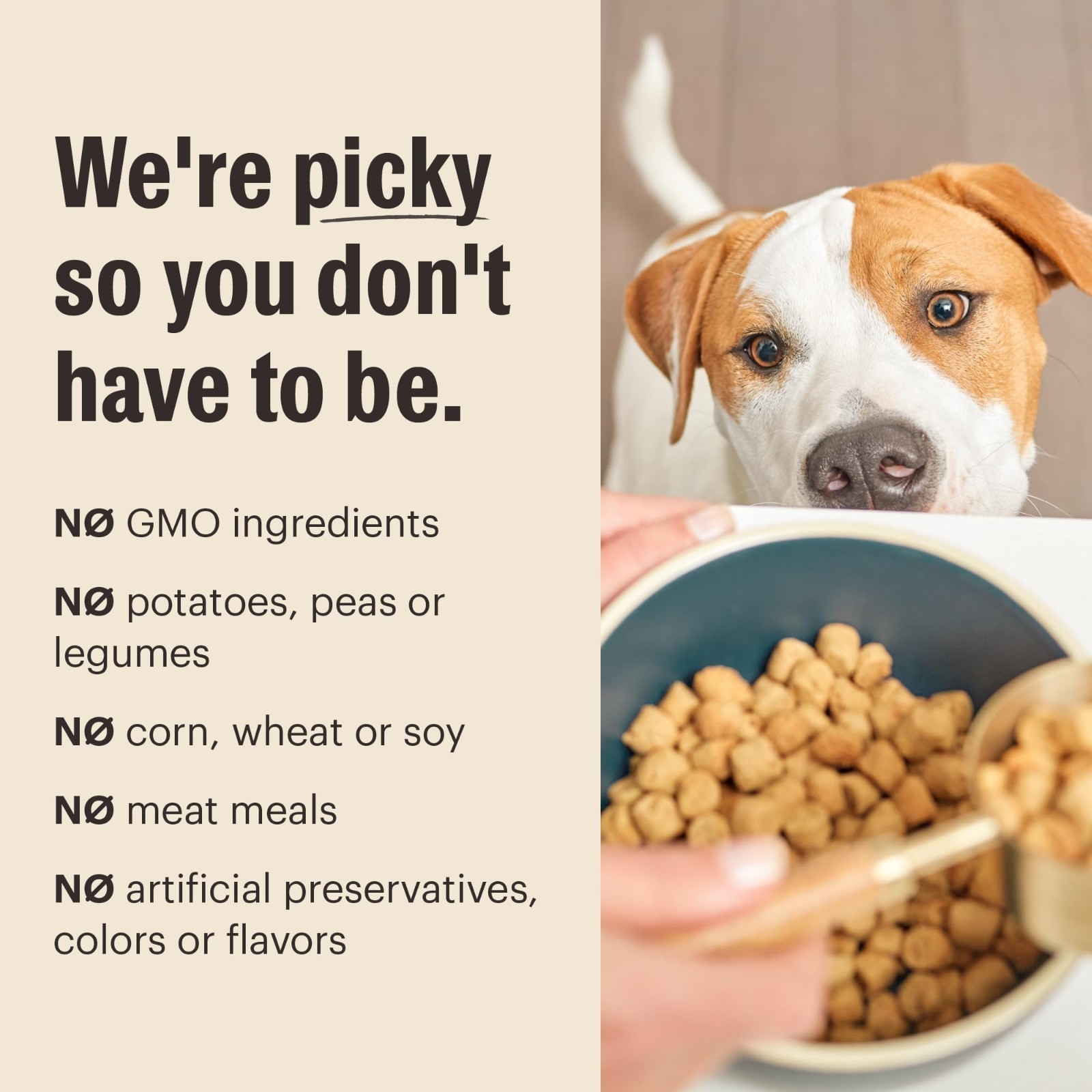 The Honest Kitchen Human Grade Whole Food Clusters Puppy Blend Dry Dog Food,20Lb