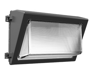 Rab WP2XFU100 LED Fixture 100W Replacement Power Supply 1/2″ NPT