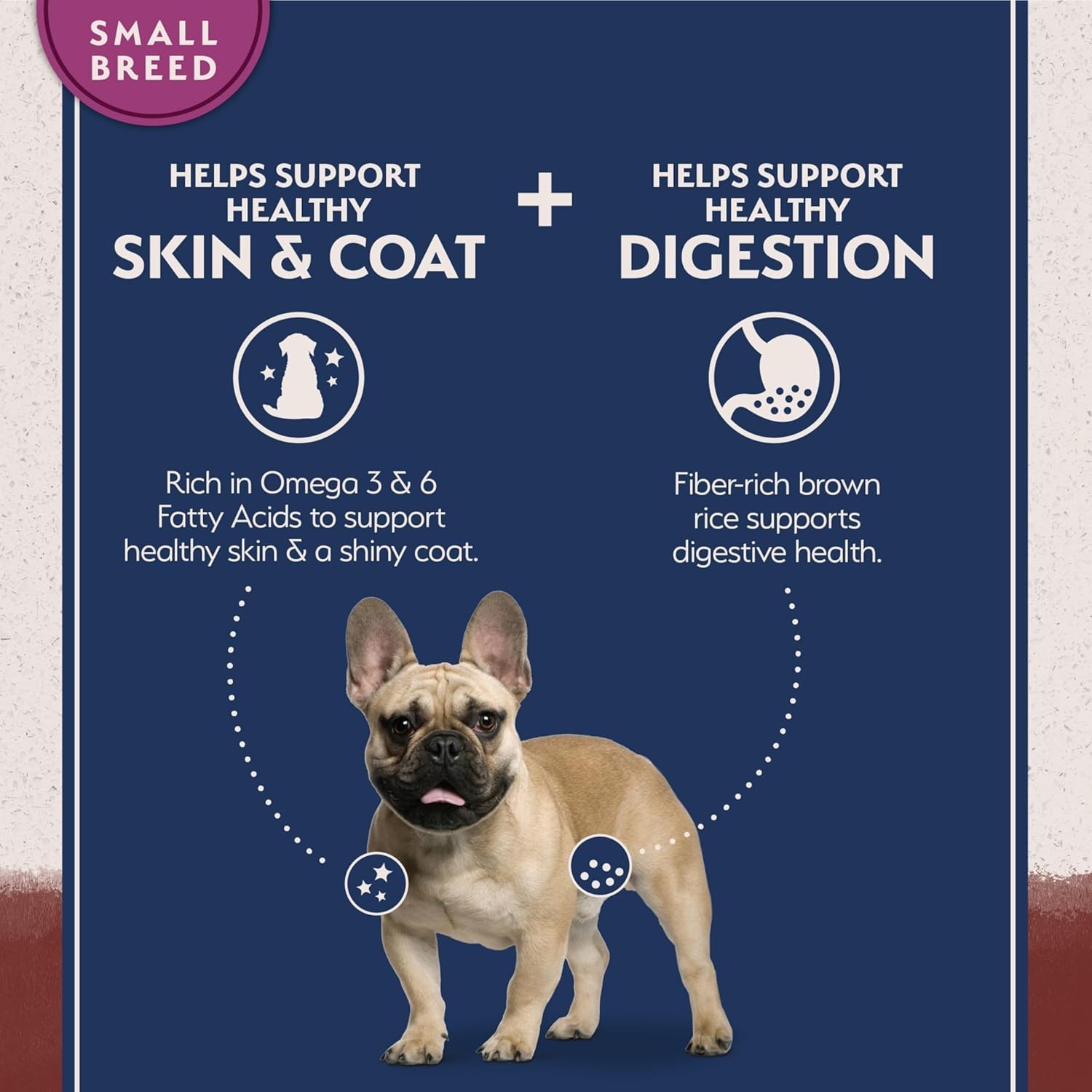 Natural Balance Limited Ingredient Diet Small Breed Adult Dry Dog Food – 12 Lb