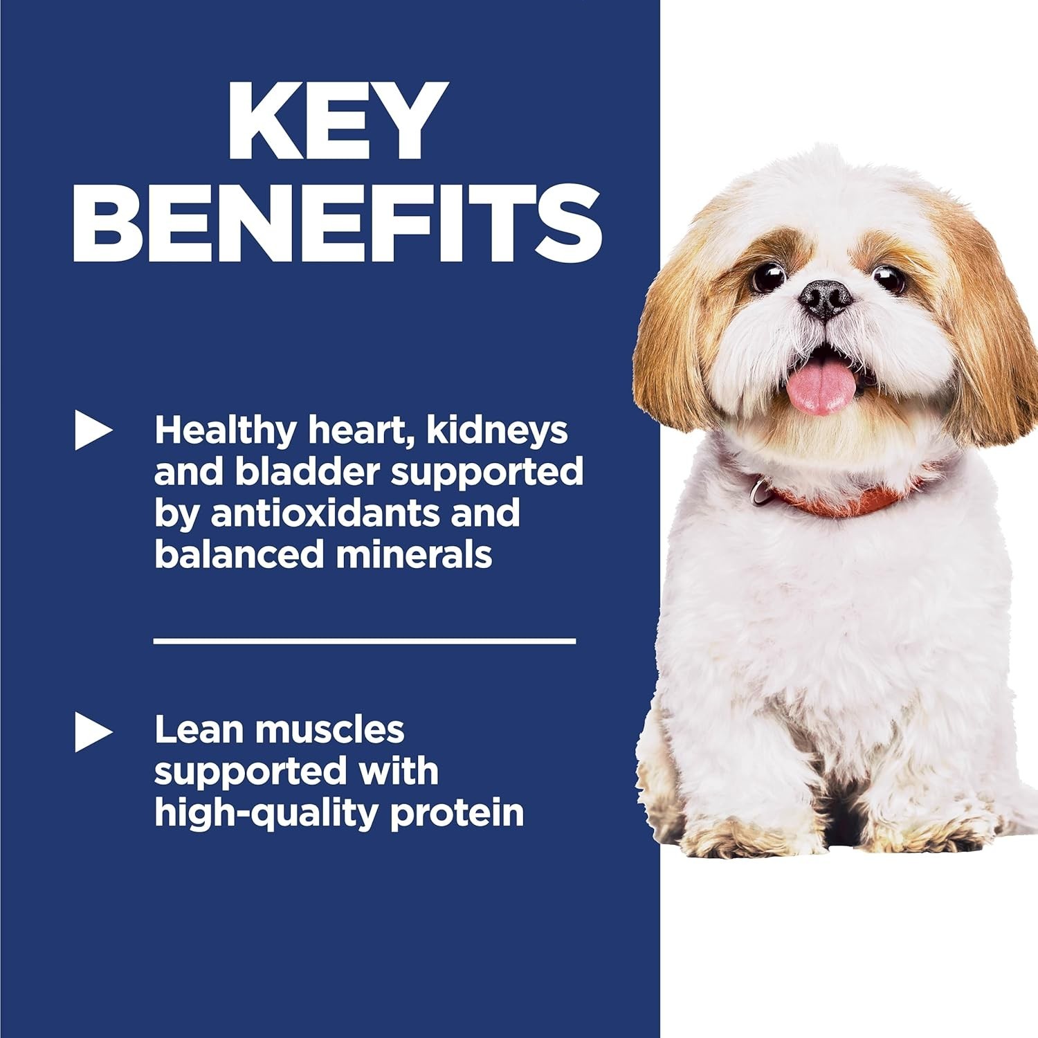 Hill’s® Science Diet® Small Bites 7+ Senior Dry Dog Food – Chicken Recipe, 15 Lb