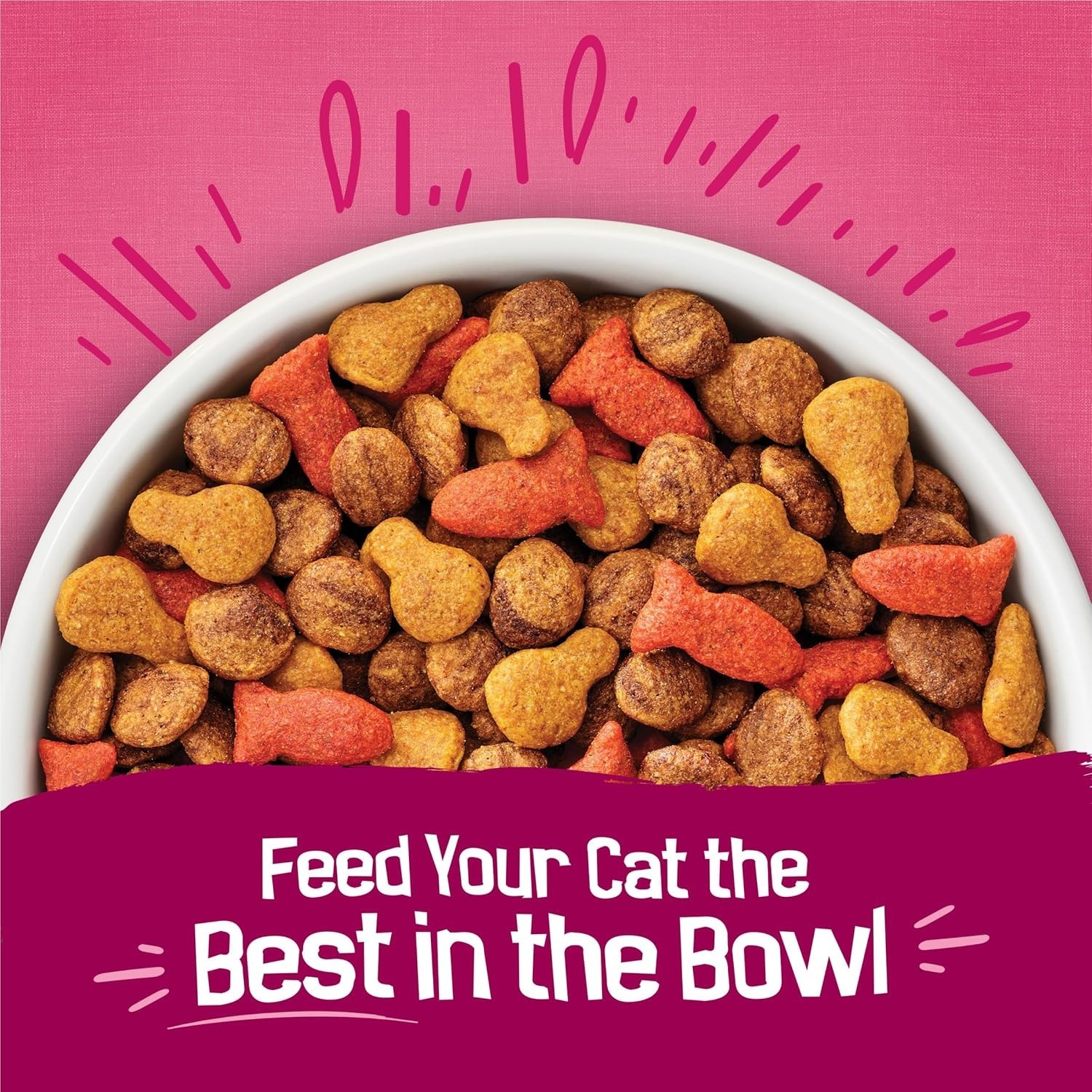 Friskies Gravy Swirlers Chicken & Salmon Flavor Dry Cat Food, 16-lb, 4 PACK