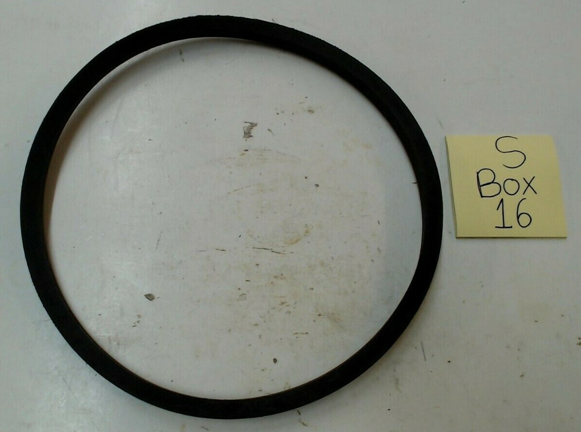 Jason B31 Belt
