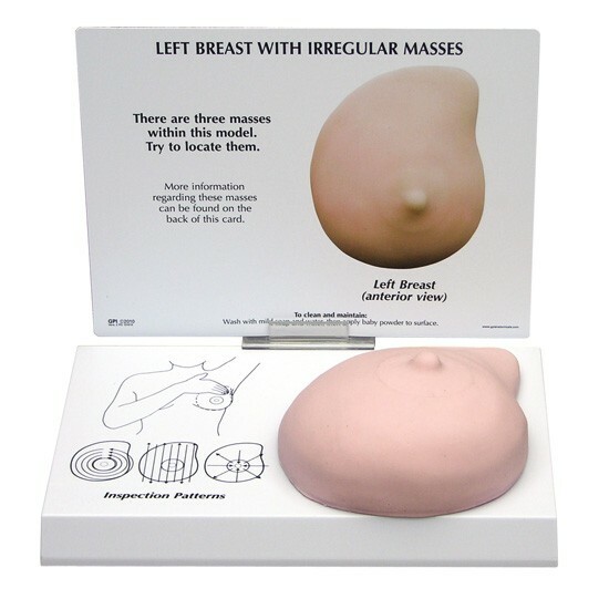 Breast Female Self Exam Soft w Masses Anatomical Model GPI LFA #3401 SEE VIDEO