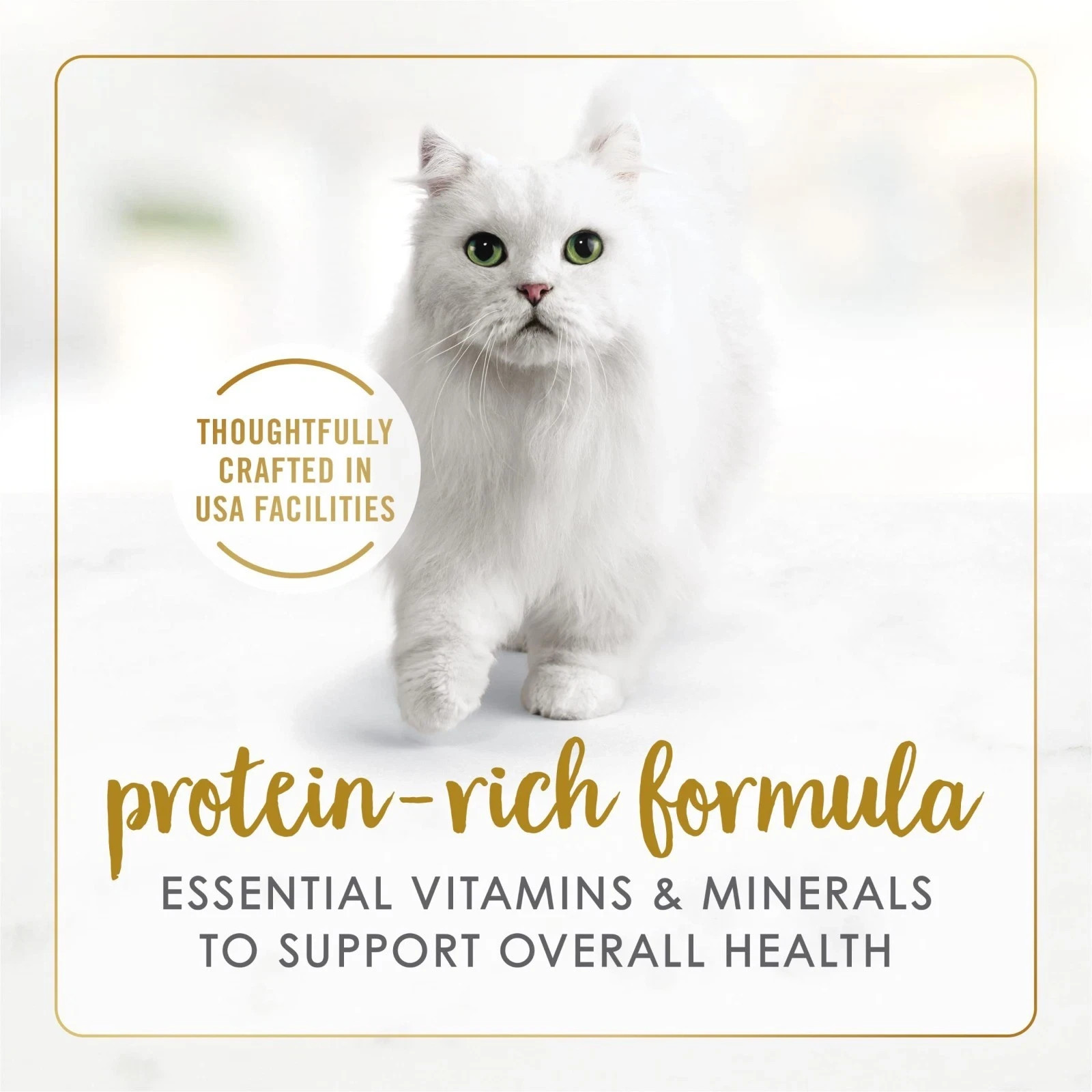 3 pack Purina Fancy Feast Grilled Kitten Food, Wet Cat Food, Seafood, 3oz,24cans
