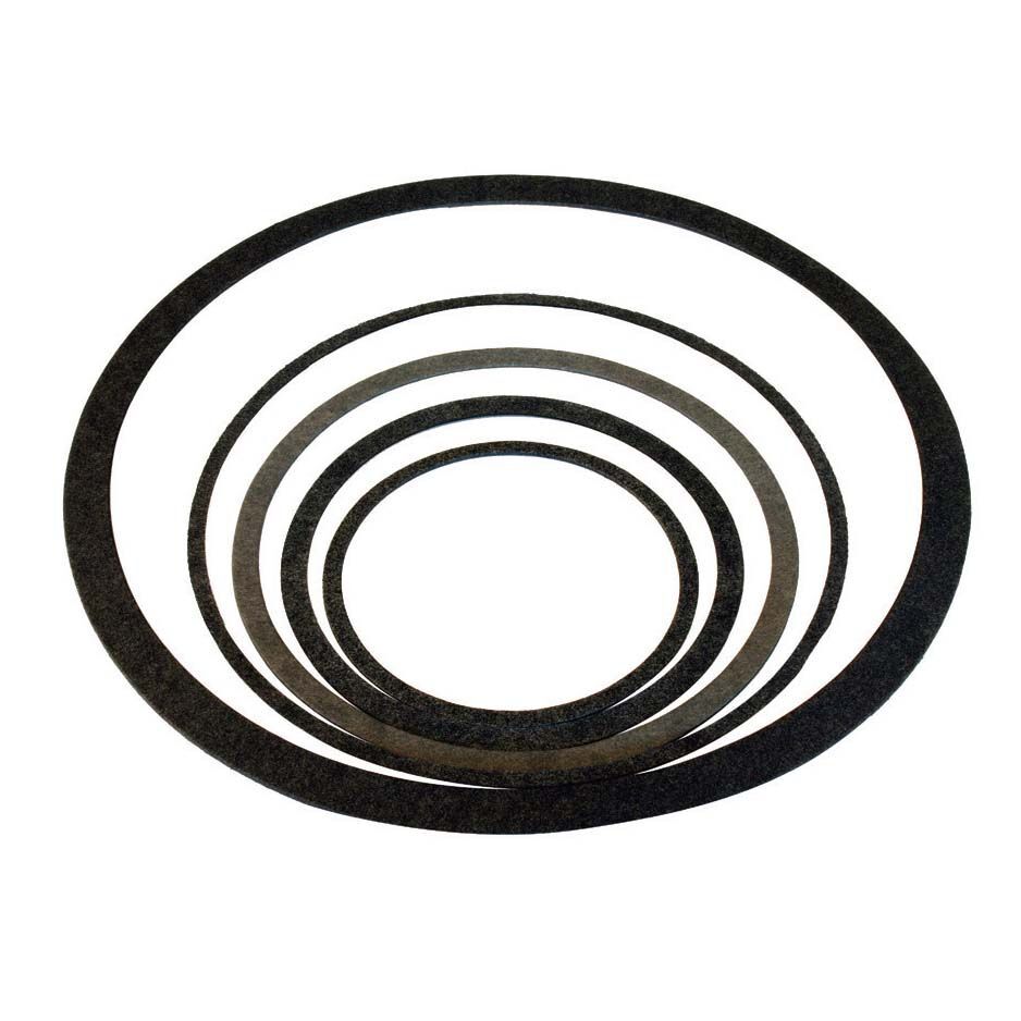 Armstrong Fluid Technology 104442-000 Body Gasket for S-25 Pumps