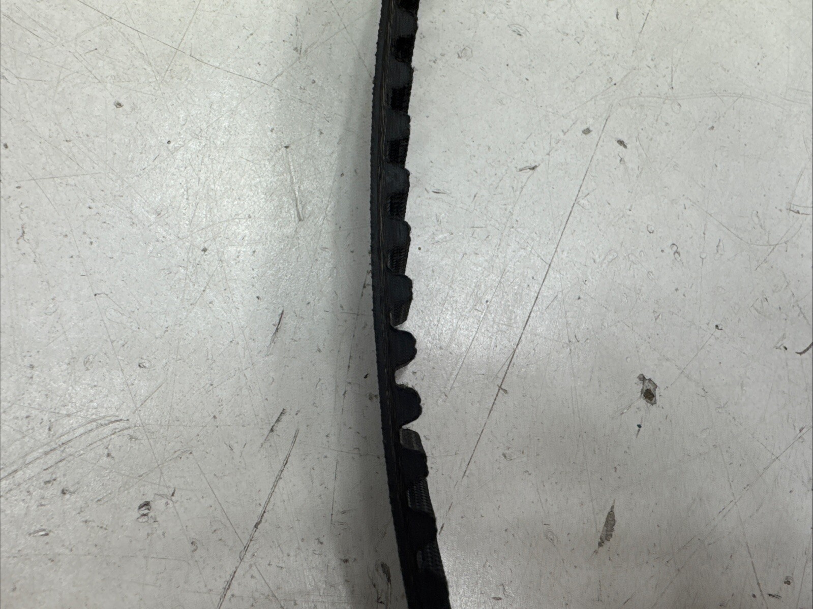 Continental 880-8M-30 Timing Belt