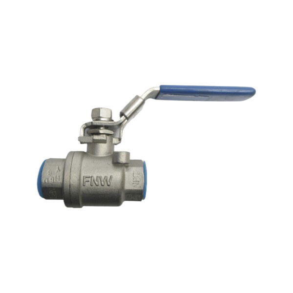 FNW 1000CWP CF8M 1/4″ NSNP