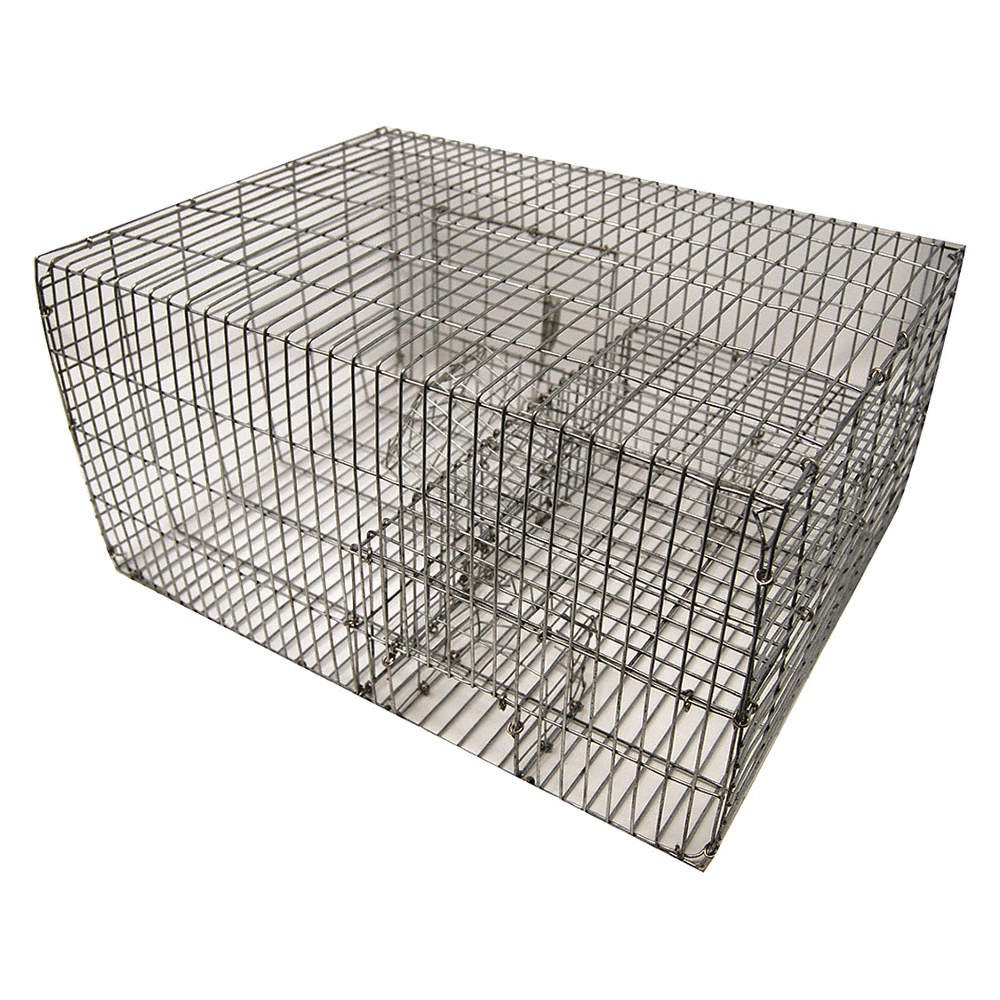 BIRD BARRIER tt-sp10 Bird Trap,8 in H,16 in W,Silver 436G49