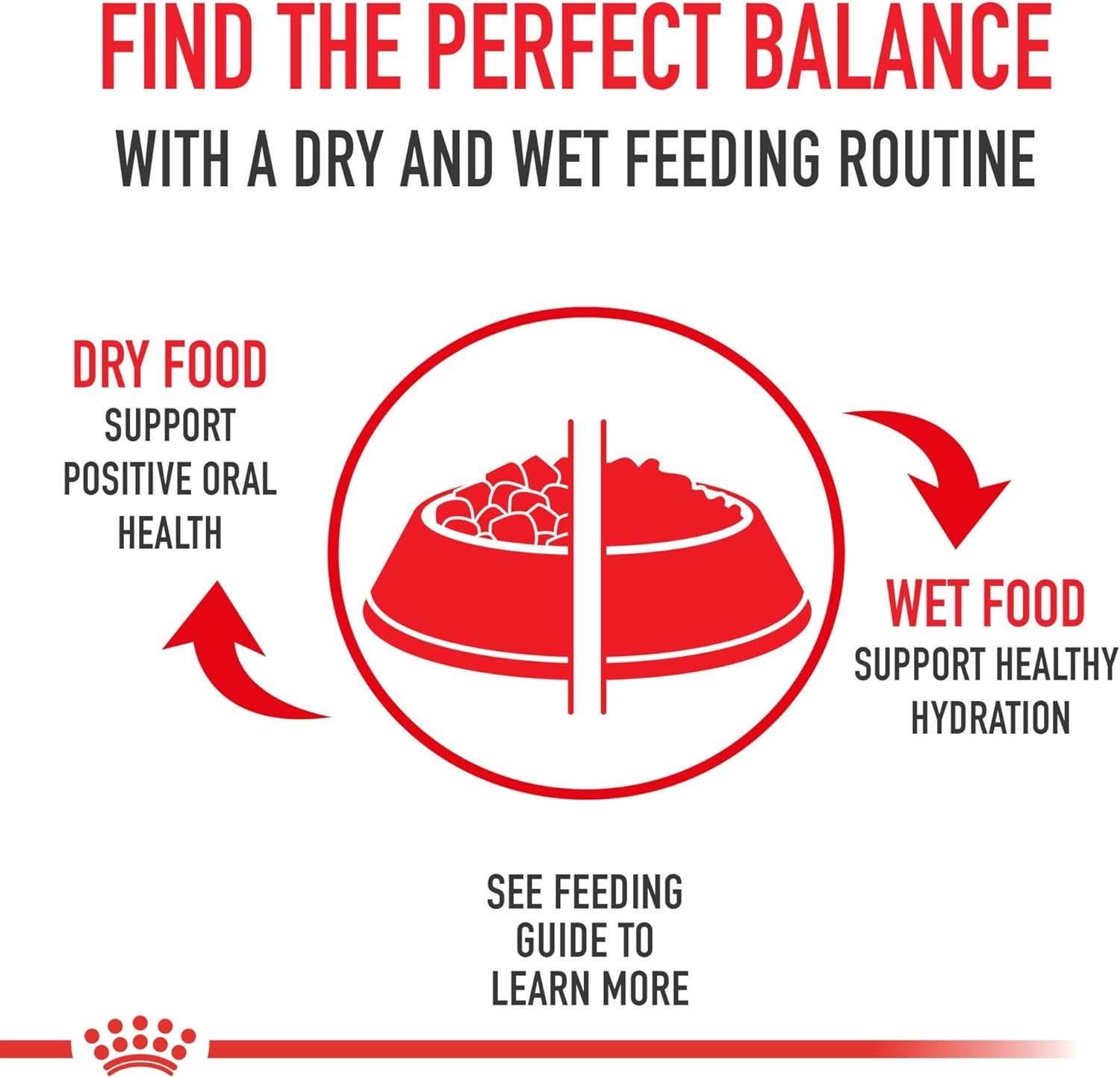 Royal Canin Feline Health Nutrition Kitten Dry Cat Food, 14 lbs, FREE SHIPPING