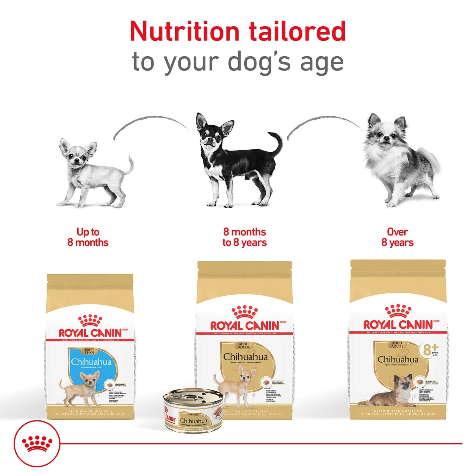 2 PACK Royal Canin Chihuahua Adult 8+ Breed Specific Dry Dog Food, 2.5 lb