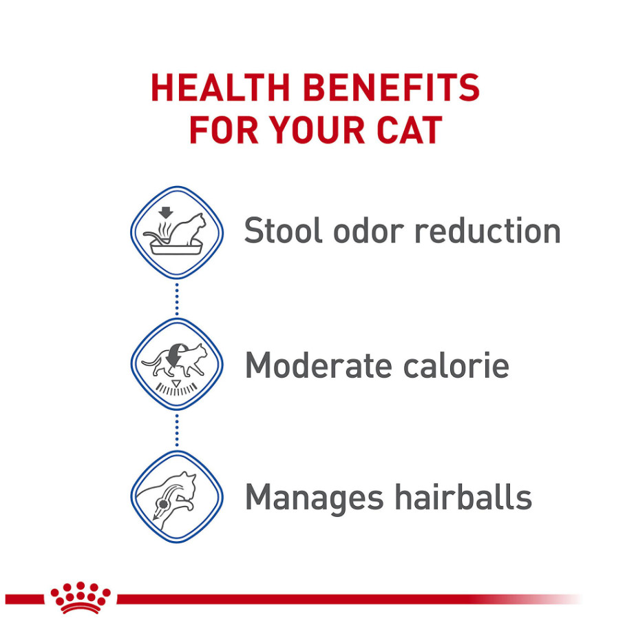 Royal Canin Indoor Adult Dry Cat Food, 15 lbs