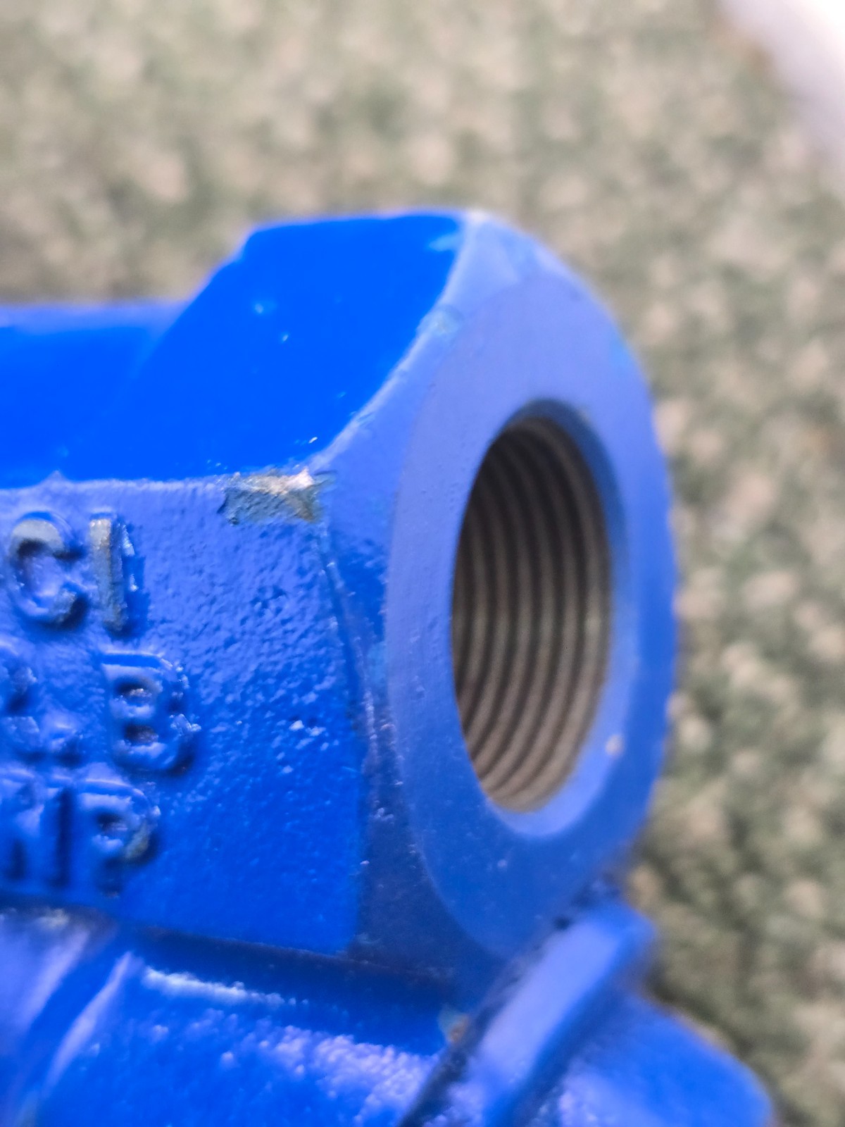 Titan-FCI YS12-Cl A126: 3/4″ Strainer Trap 400PSI Blue Grade B