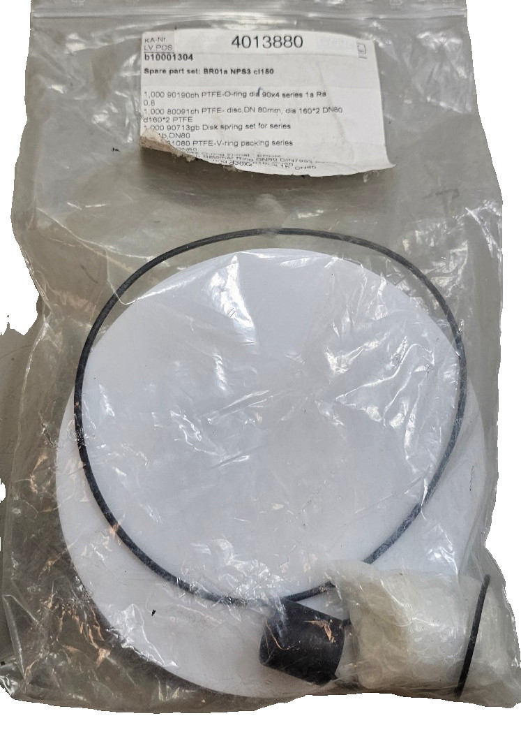 Pfeiffer b10001304 BR01a NPS1 CL150 Part Set 262060/000 O-Rings/Discs, Bushing