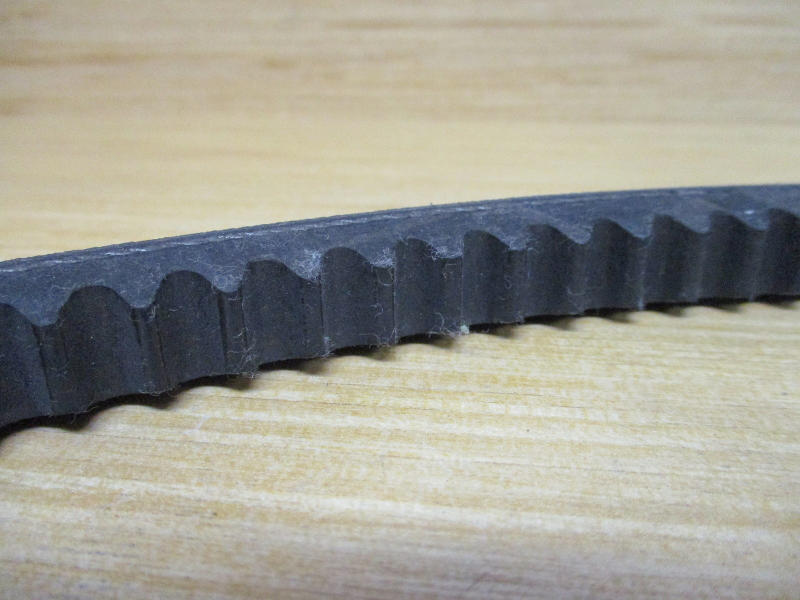 Continental Contitech BX50 Cogged V-Belt