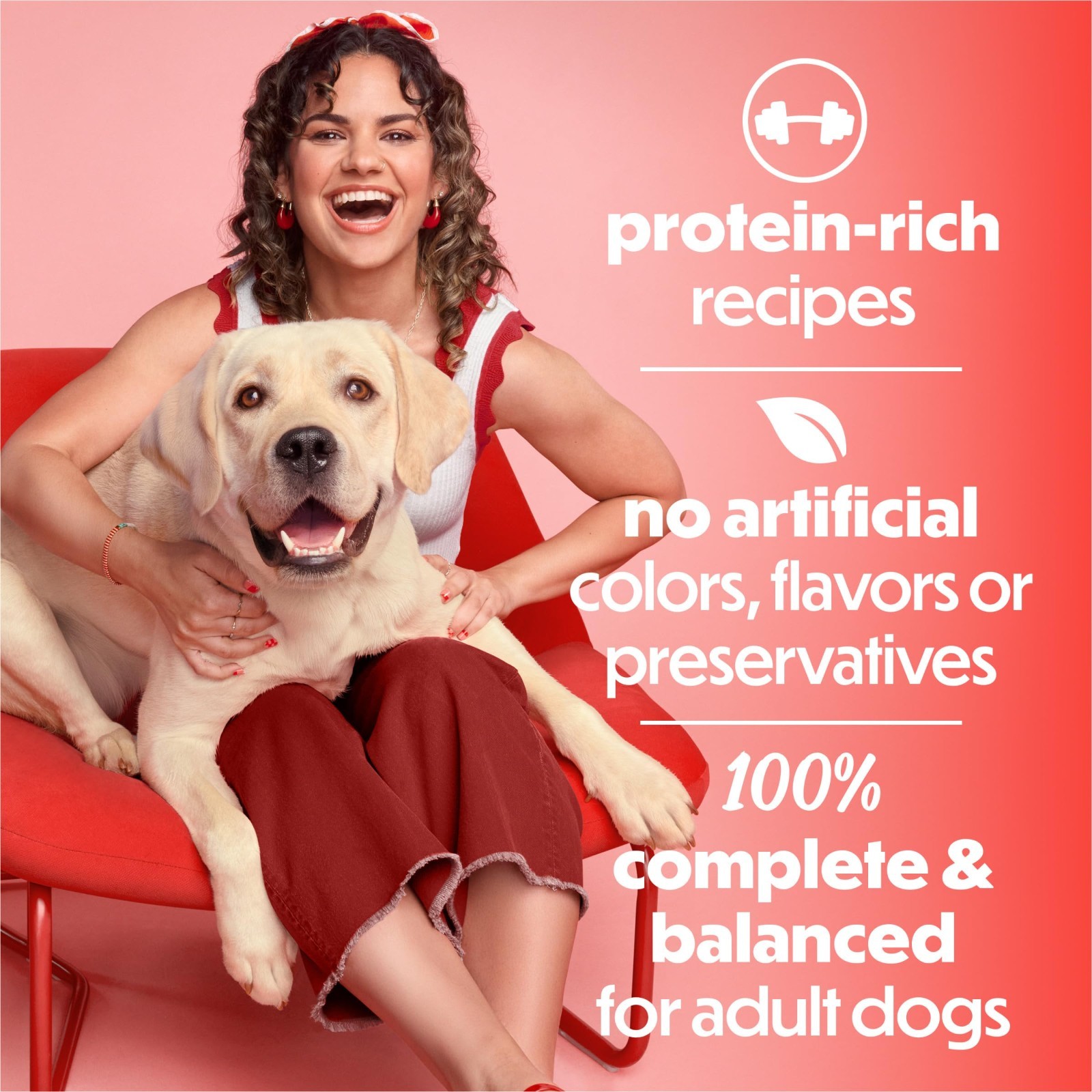 4 PACK Purina Beneful with Real Chicken or Steak Flavor in Gravy Wet Dog, 12 ct