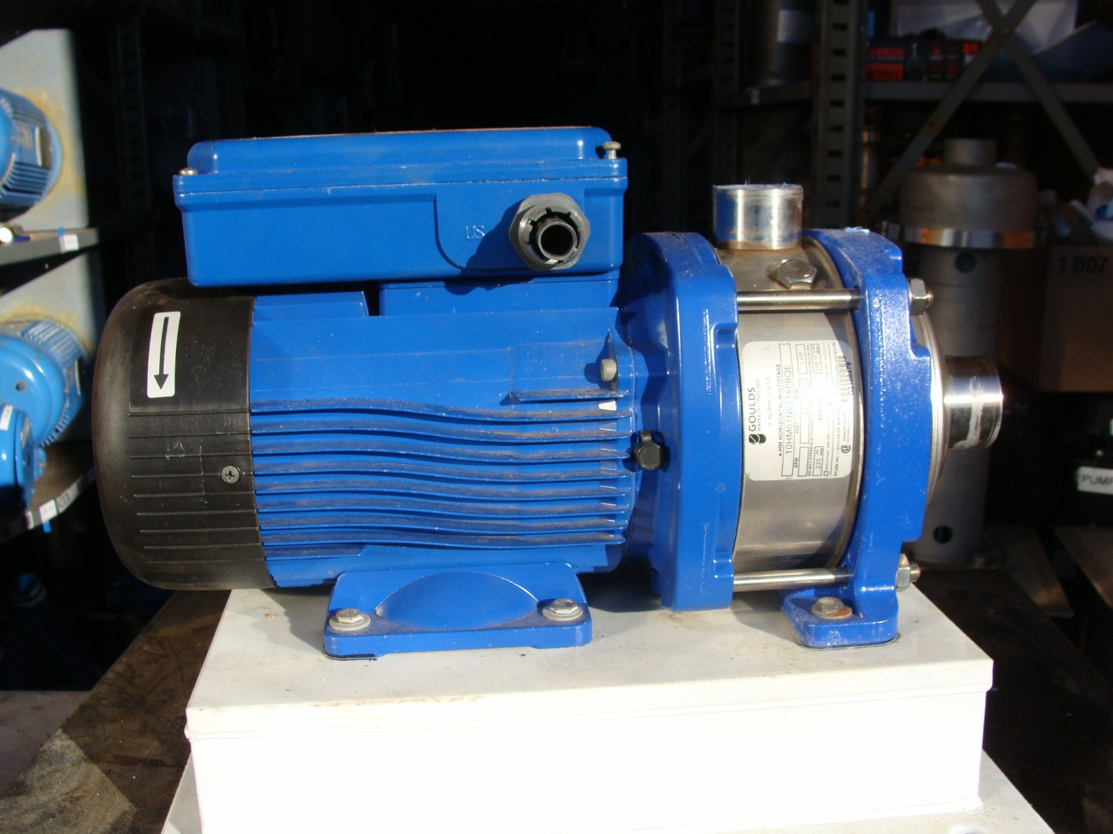 GOULDS PUMP 10HM01N07T6PBQE 1HP 3500RPM W/LOWARA MOTOR SM80HMHCA/UL304 E3 1HP