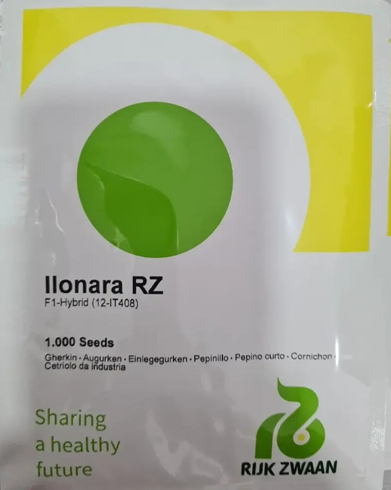 1000 Seeds Cucumber Ilonara F1 Илонара ORIGINAL Rijk Zwaan Dutch семена огурец