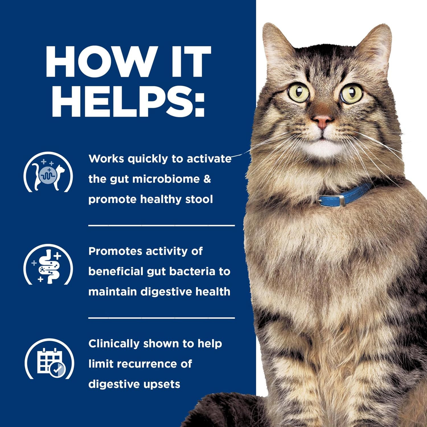 Gastrointestinal Biome Stress Digestive/Fiber Care Wet Cat Food, Chicken & Veget