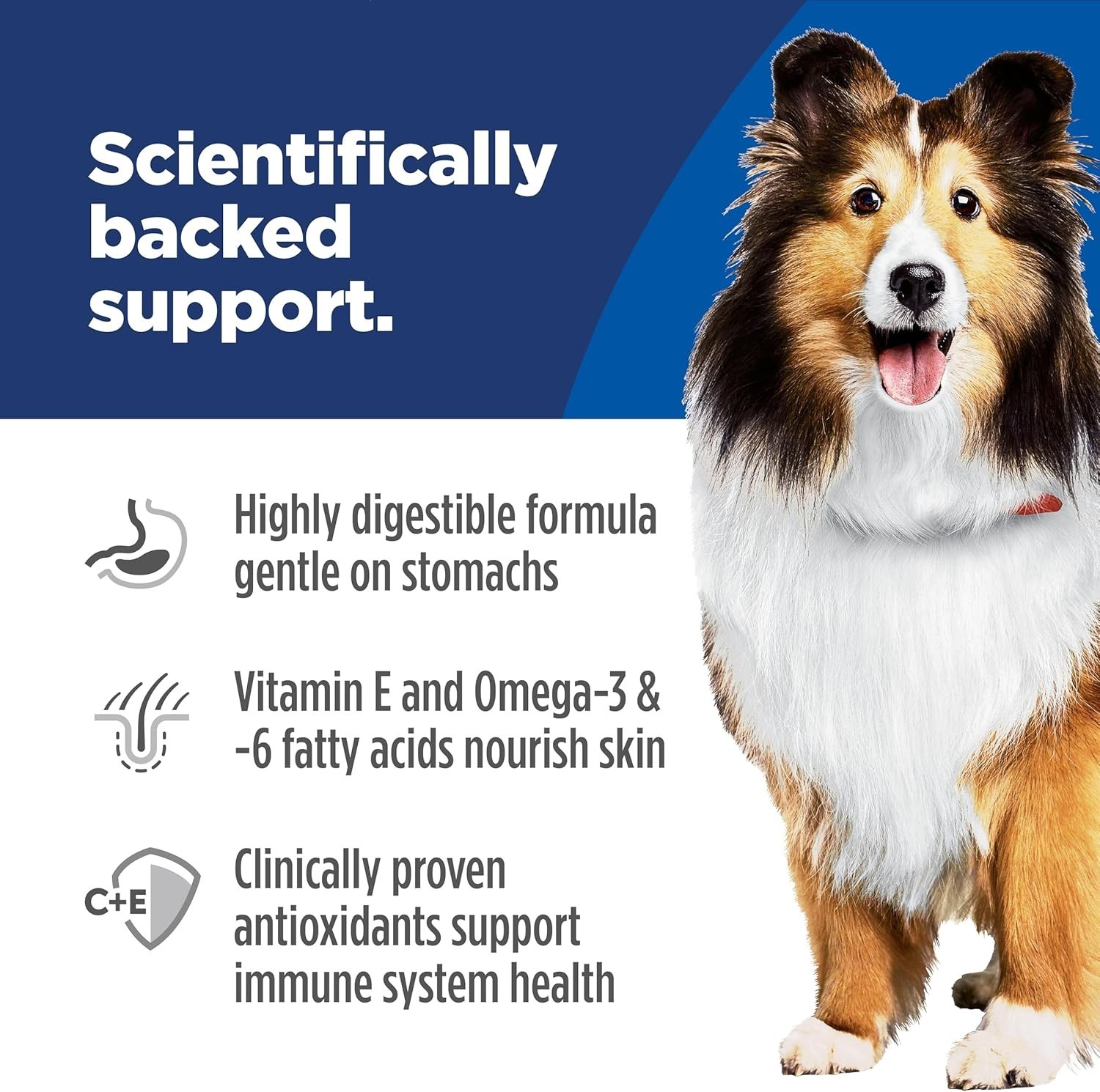 Science Diet Sensitive Stomach & Skin Adult Dry Food – Salmon & Brown, 24 Lb