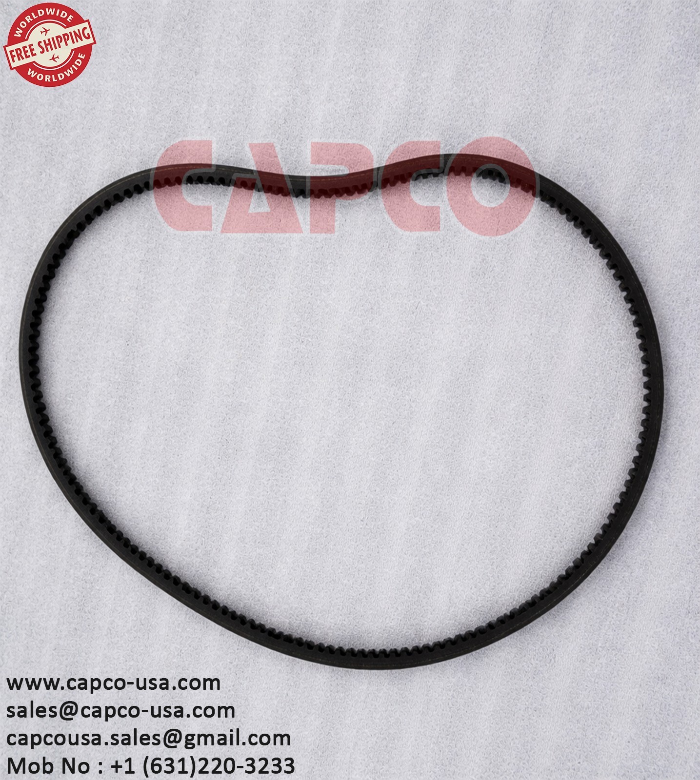 BELT 6.3813.0/NON OEM/FREE SHIPPING