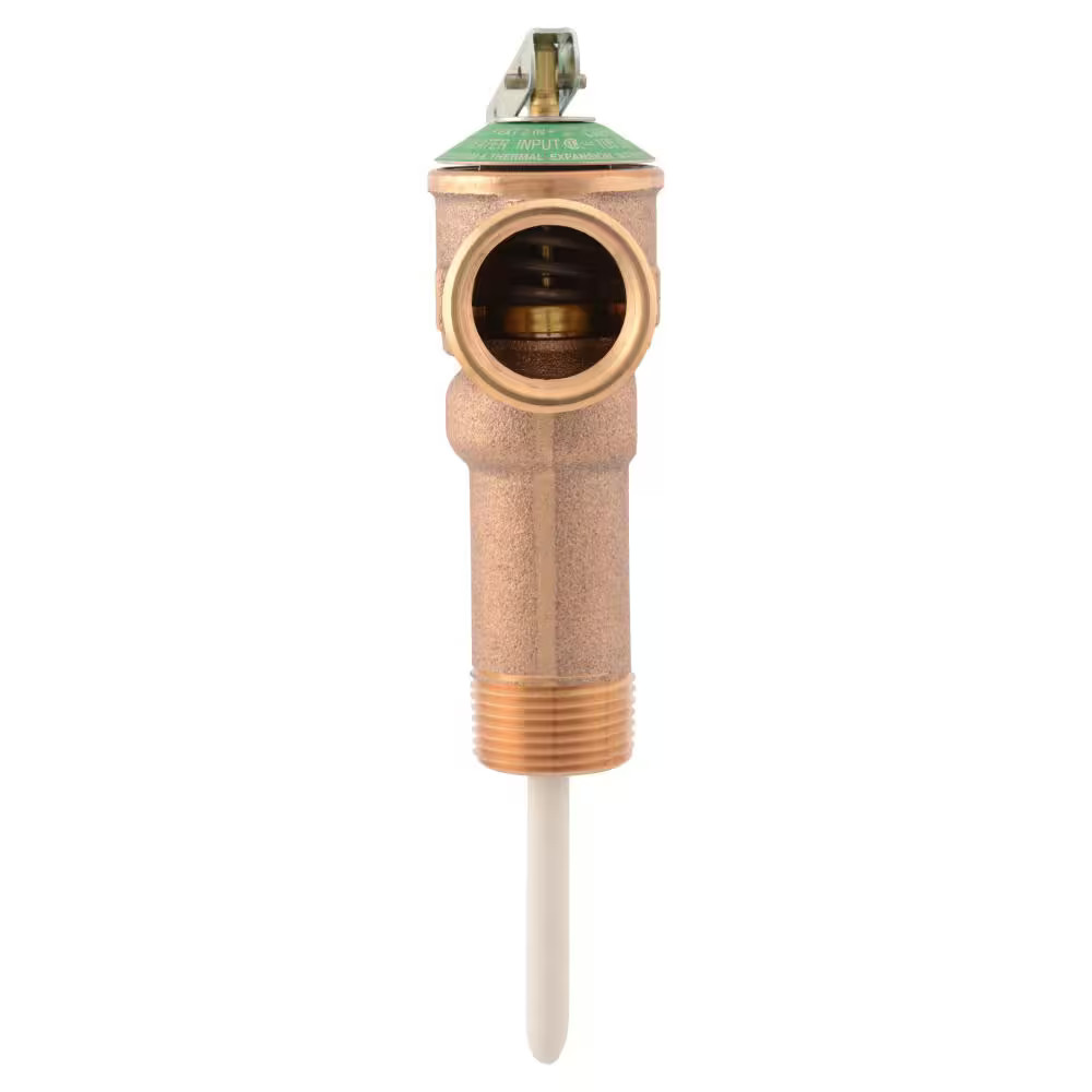 Cash Acme 3/4 in. NCLX-A Temperature and Pressure Relief Valve 3-1/2 in. Shank